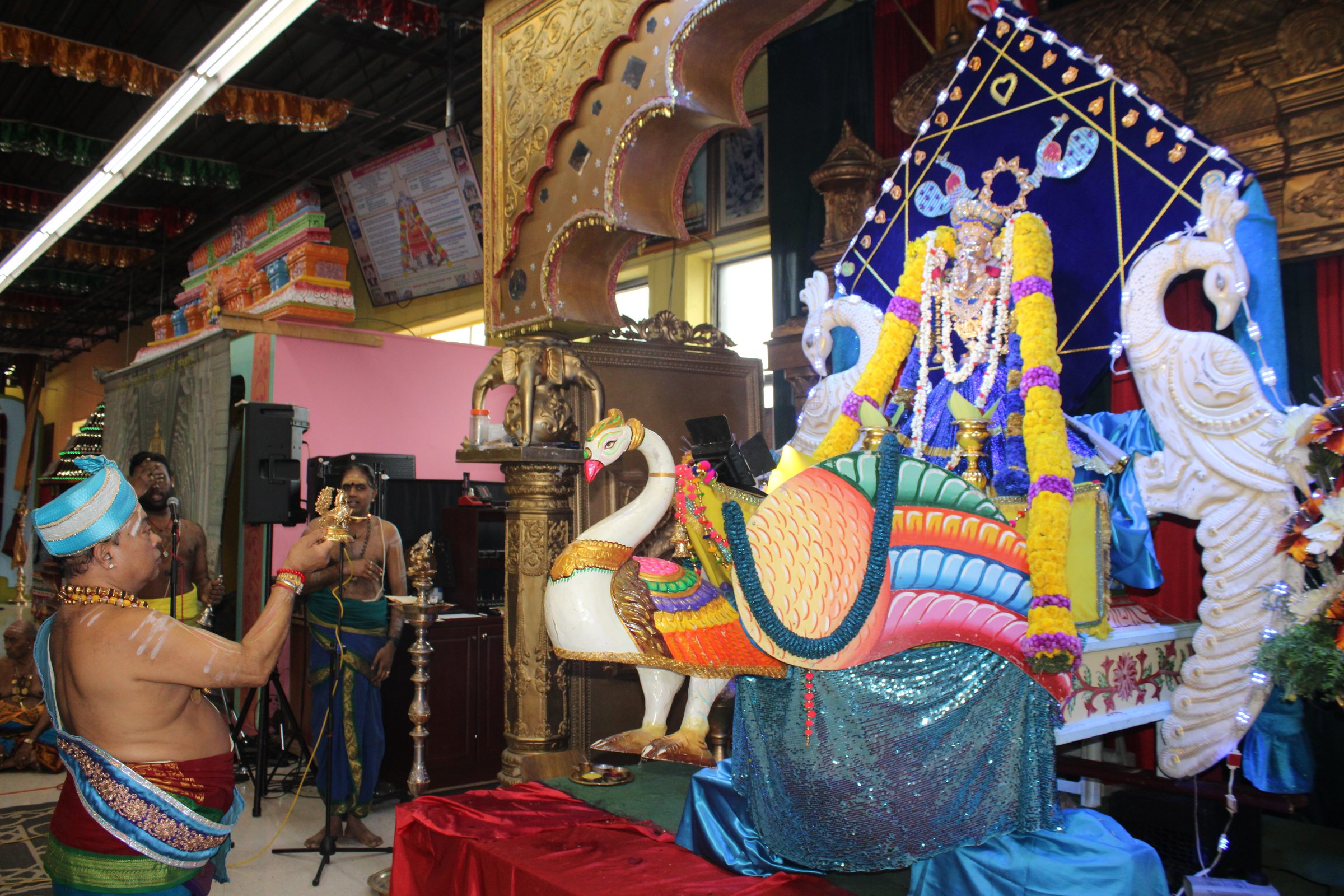 Festival 2024 photo