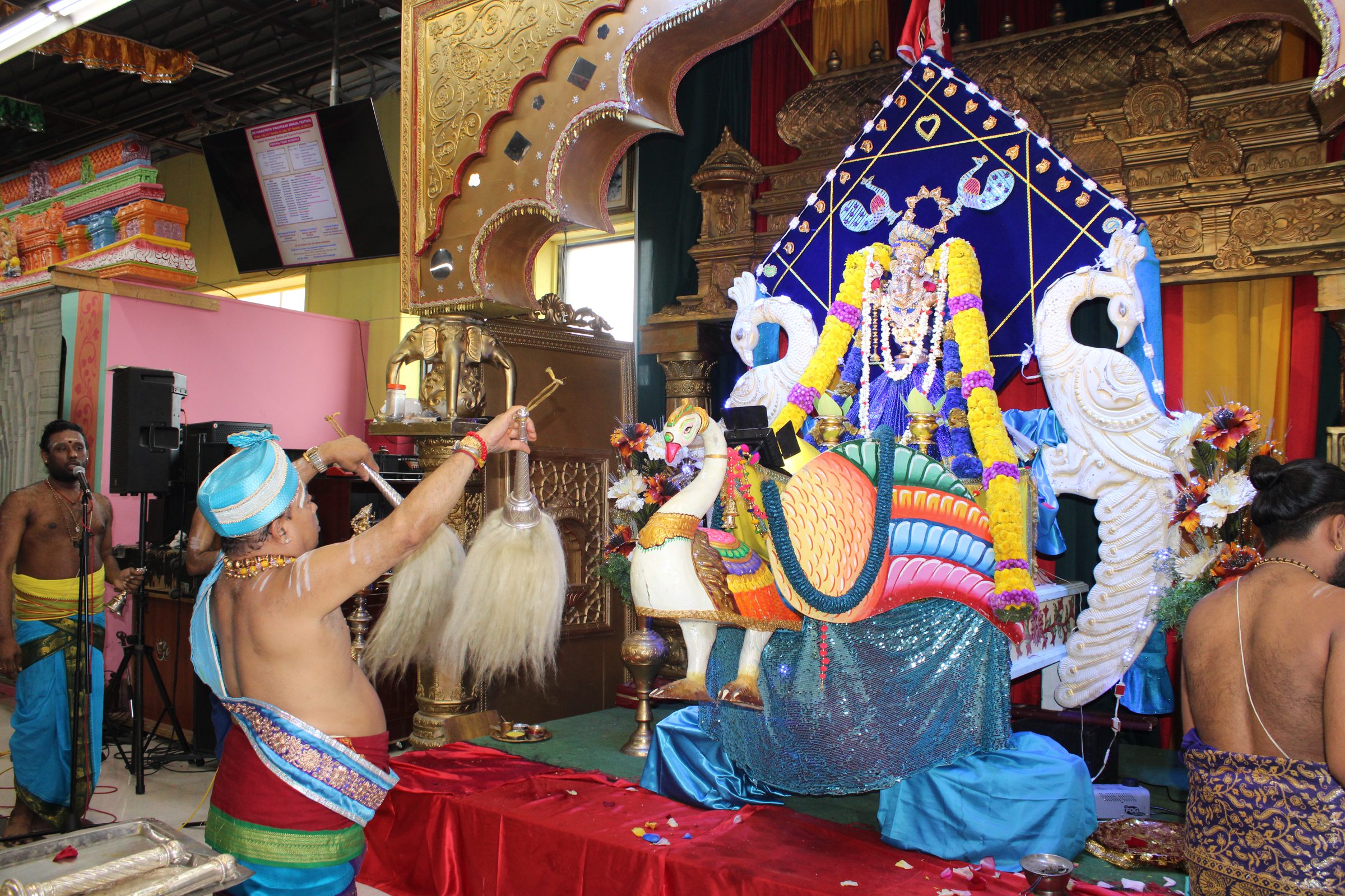Festival 2024 photo