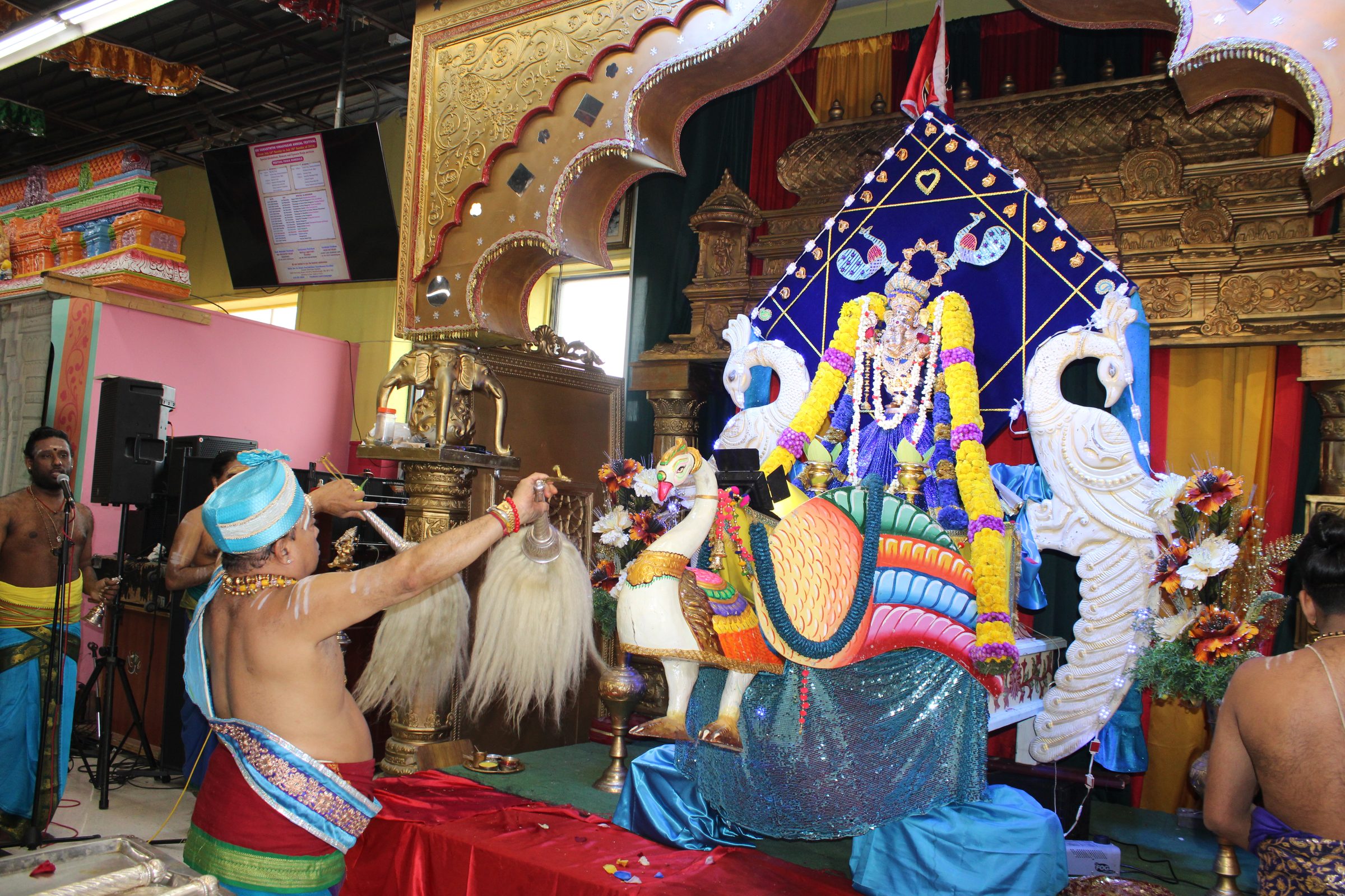 Festival 2024 photo