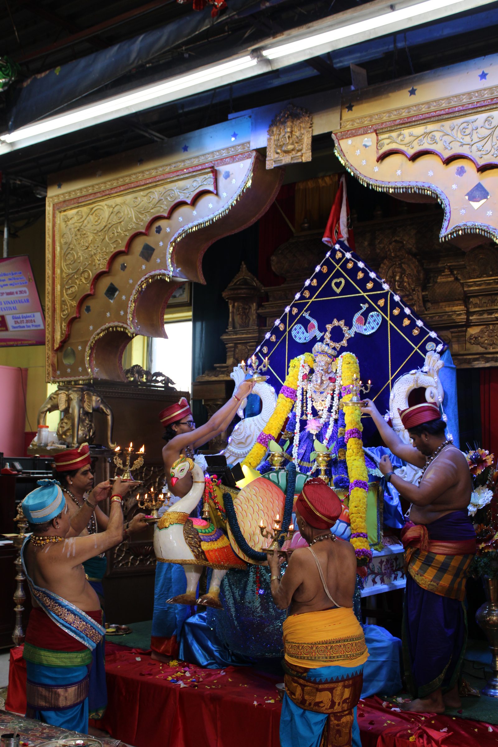 Festival 2024 photo