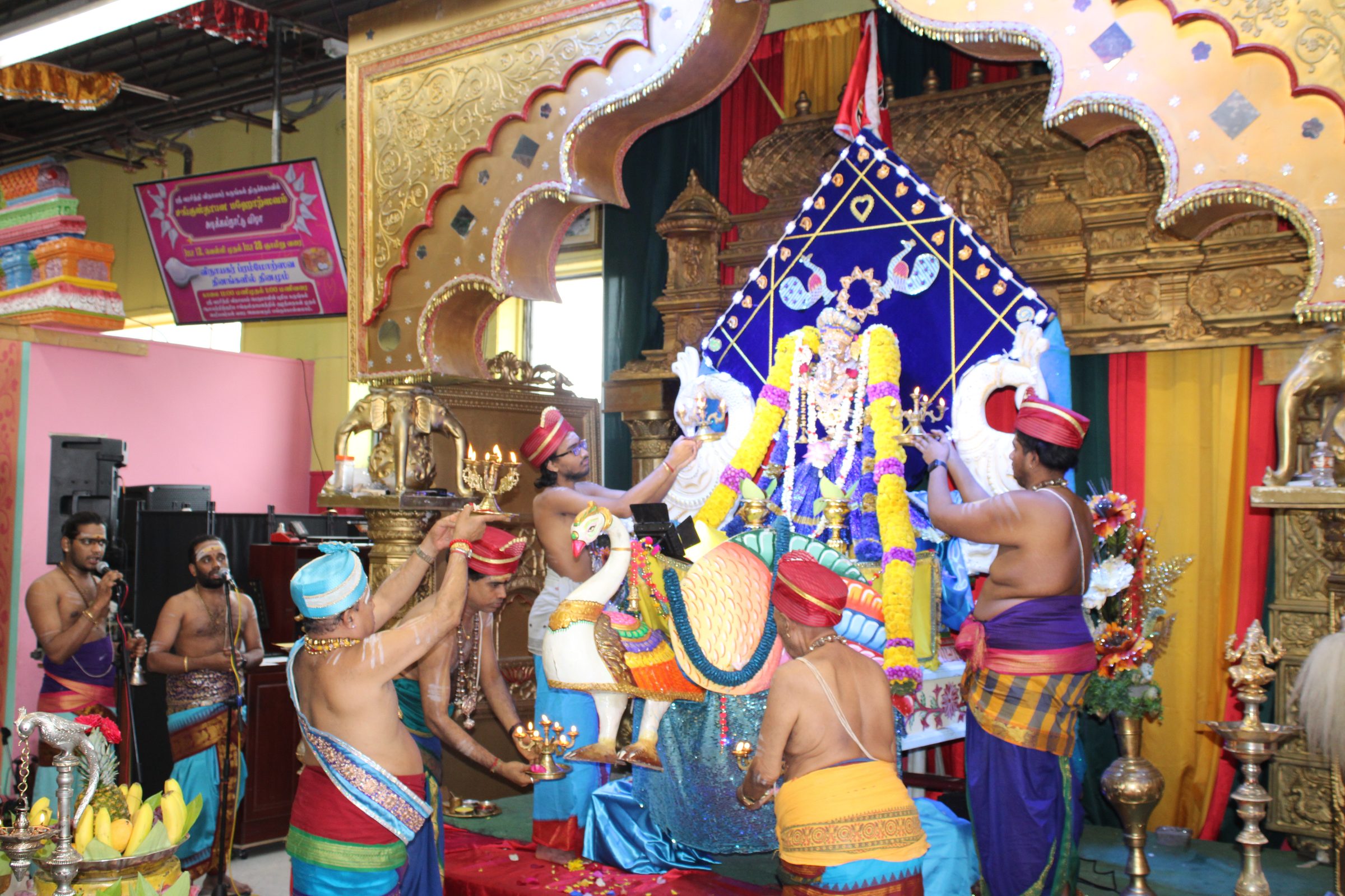 Festival 2024 photo