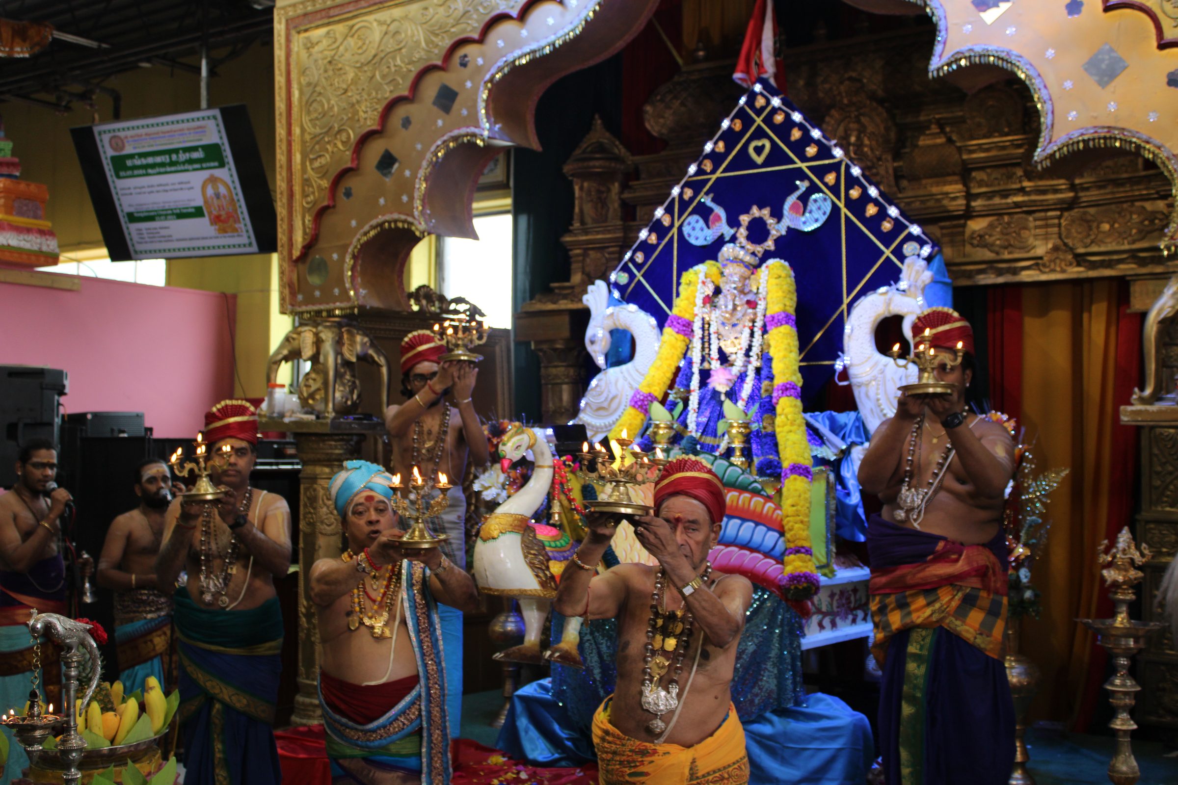 Festival 2024 photo