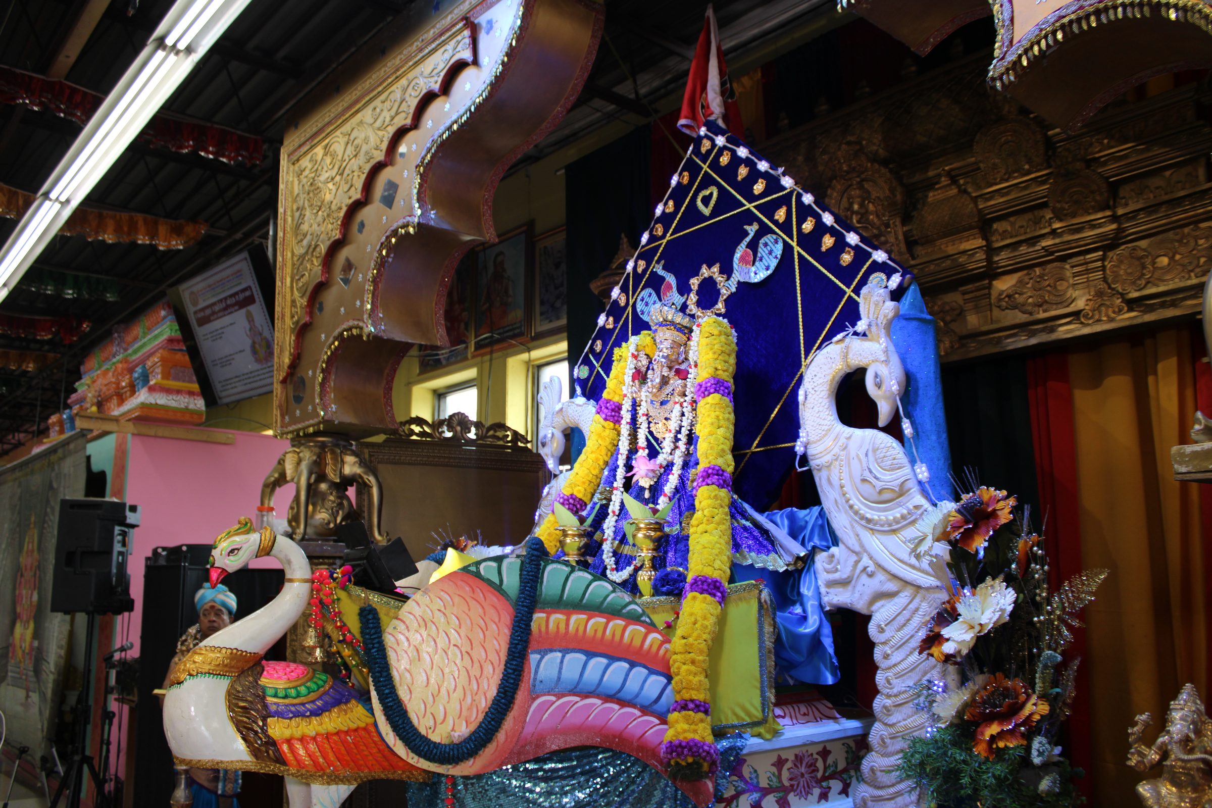 Festival 2024 photo
