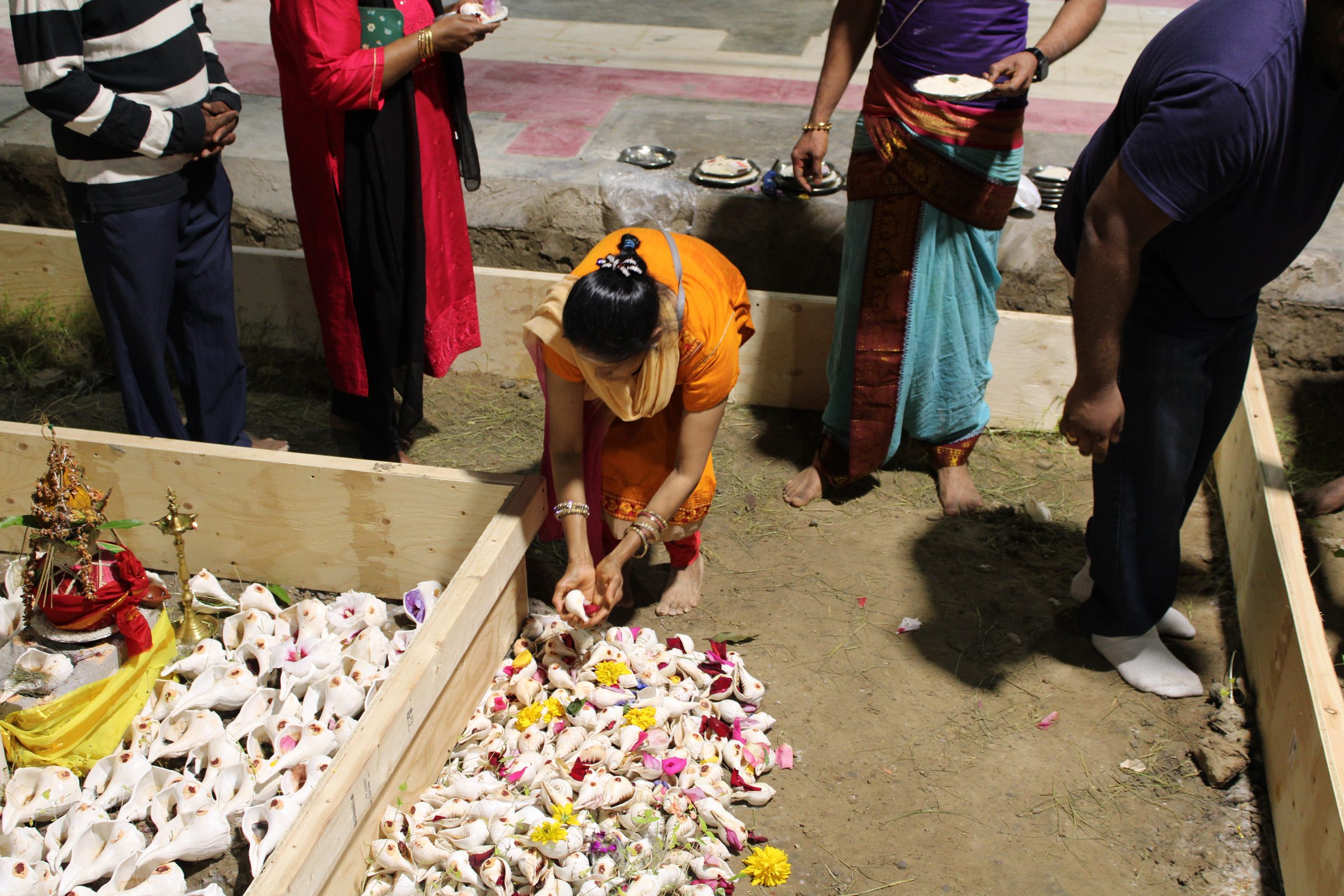 Festival 2024 photo