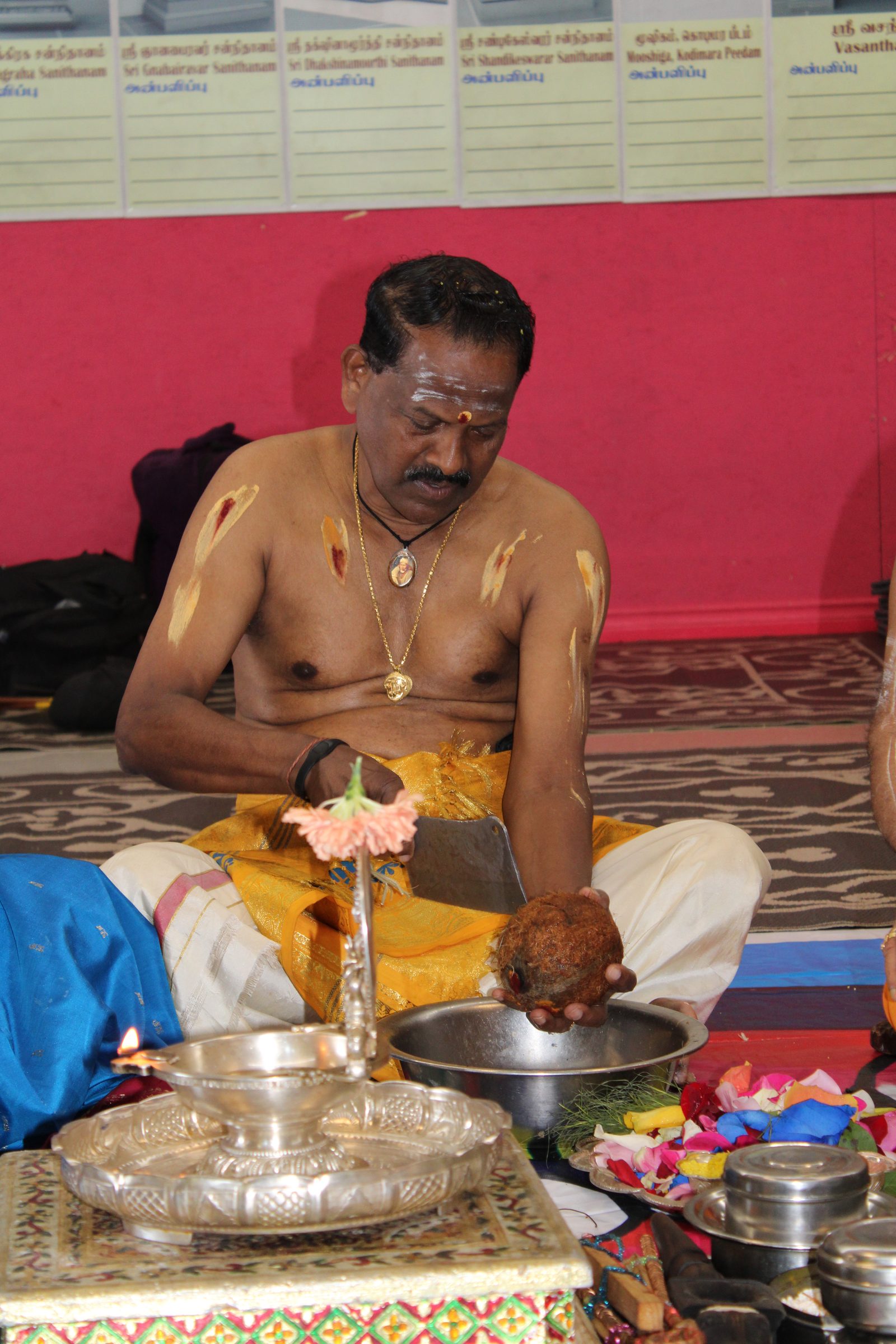Festival 2024 photo