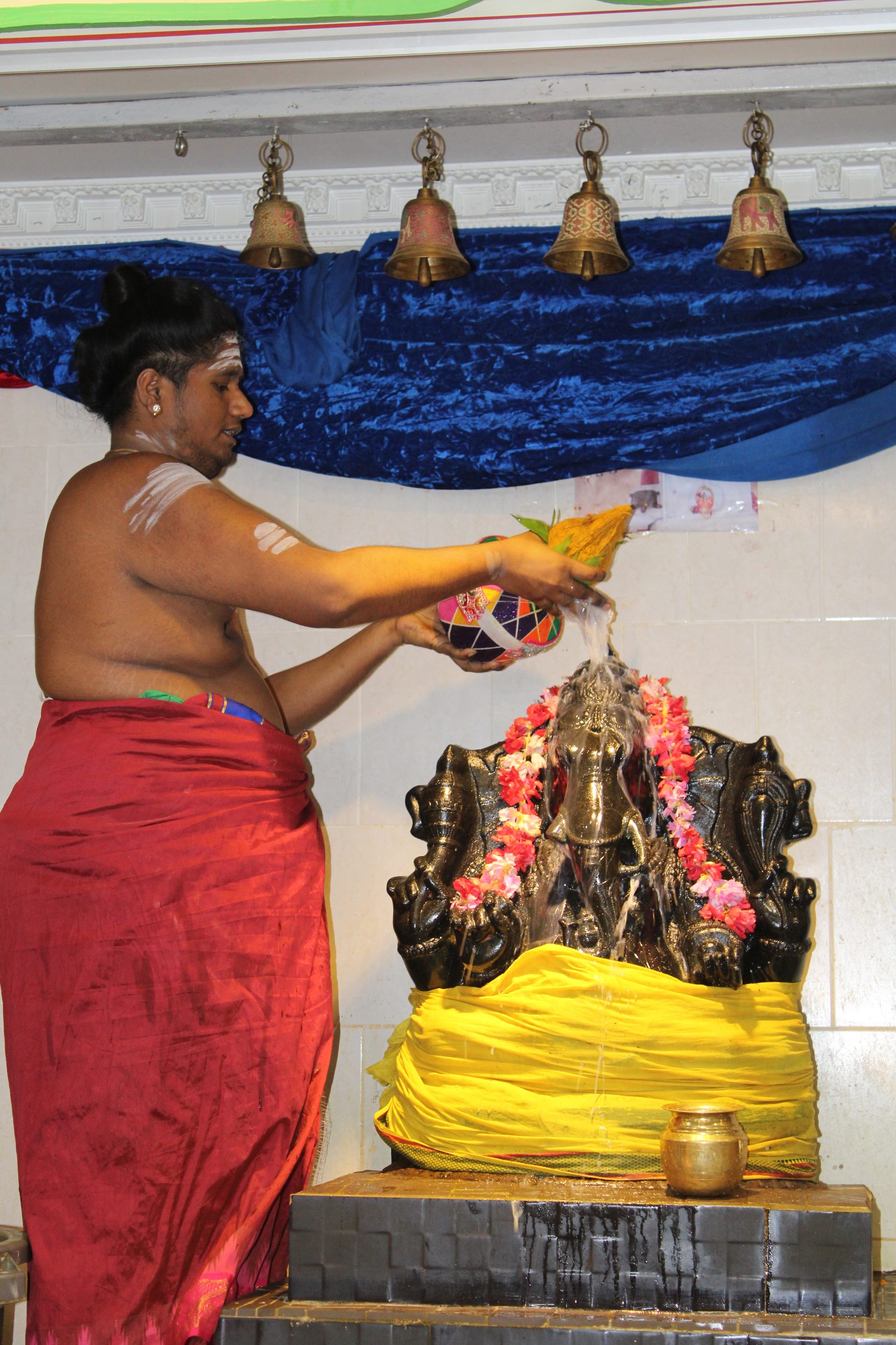 Festival 2024 photo