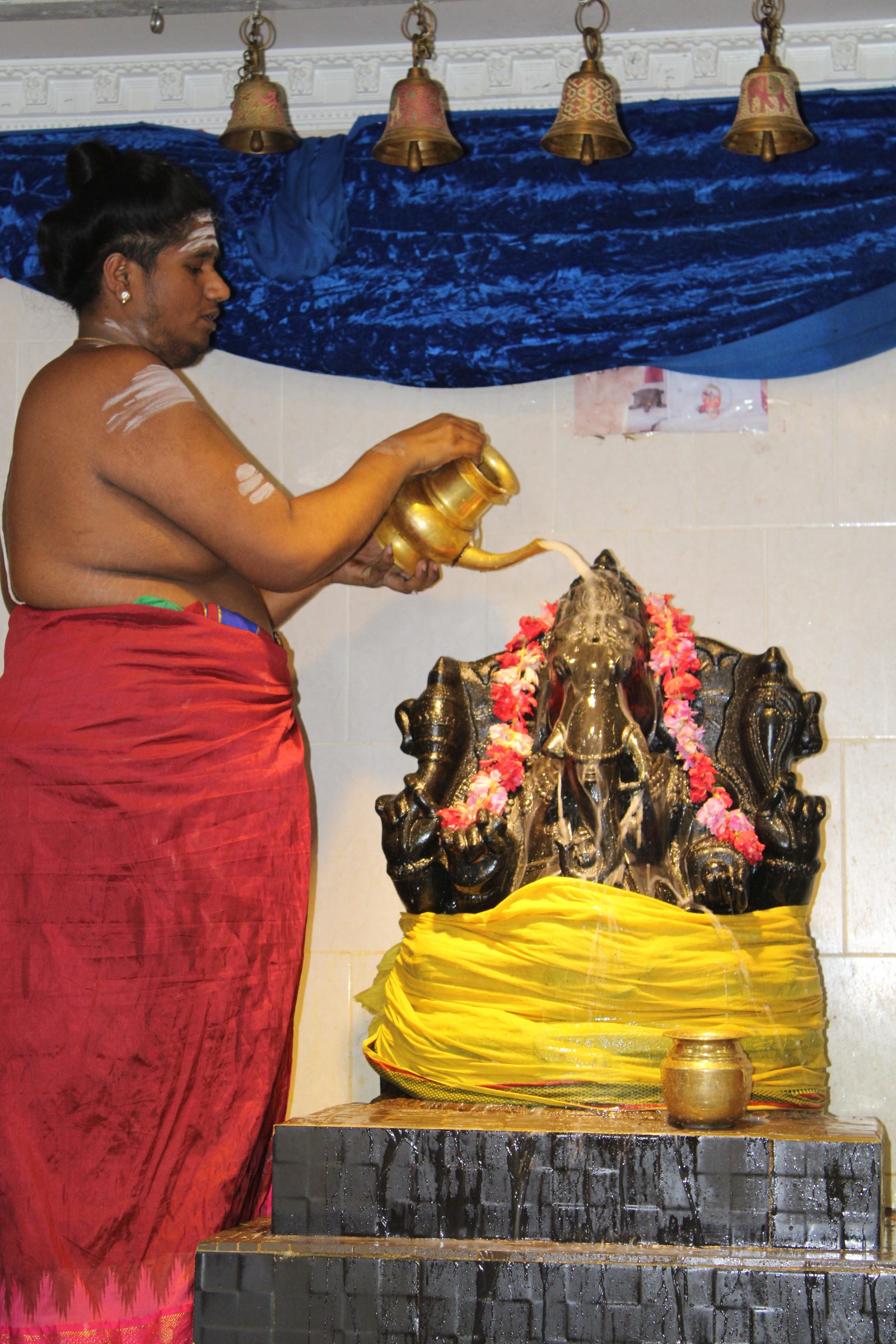 Festival 2024 photo