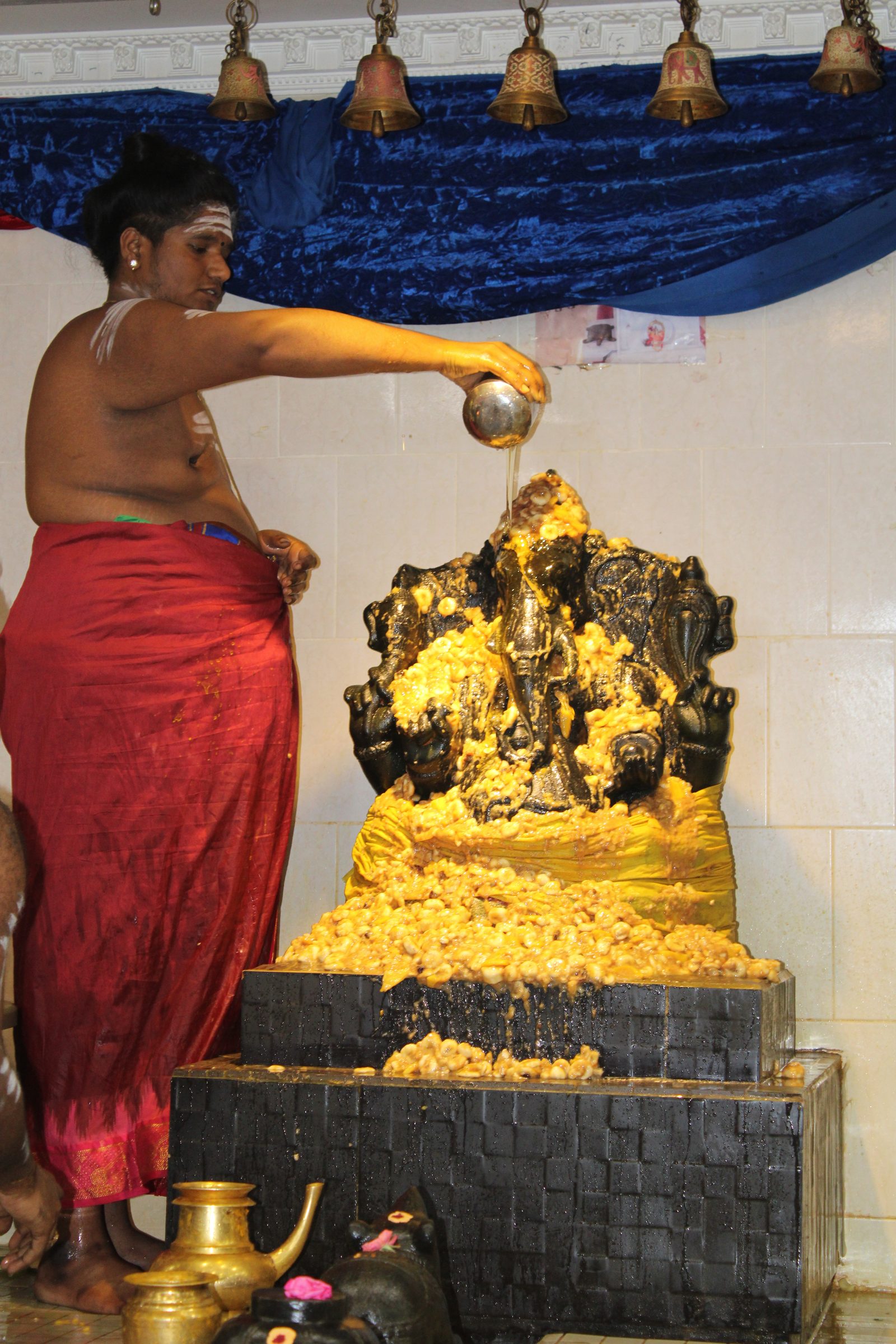 Festival 2024 photo