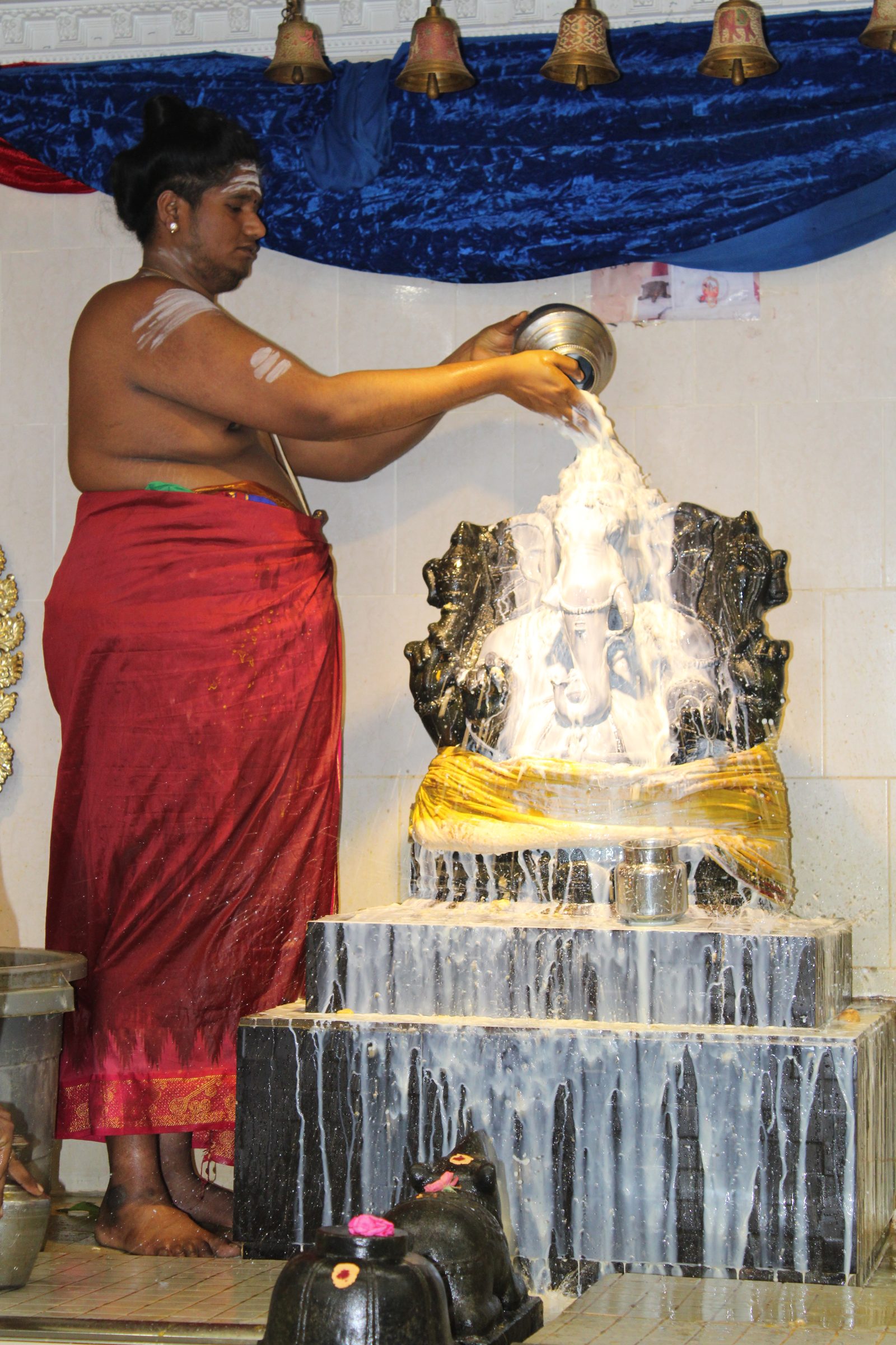Festival 2024 photo