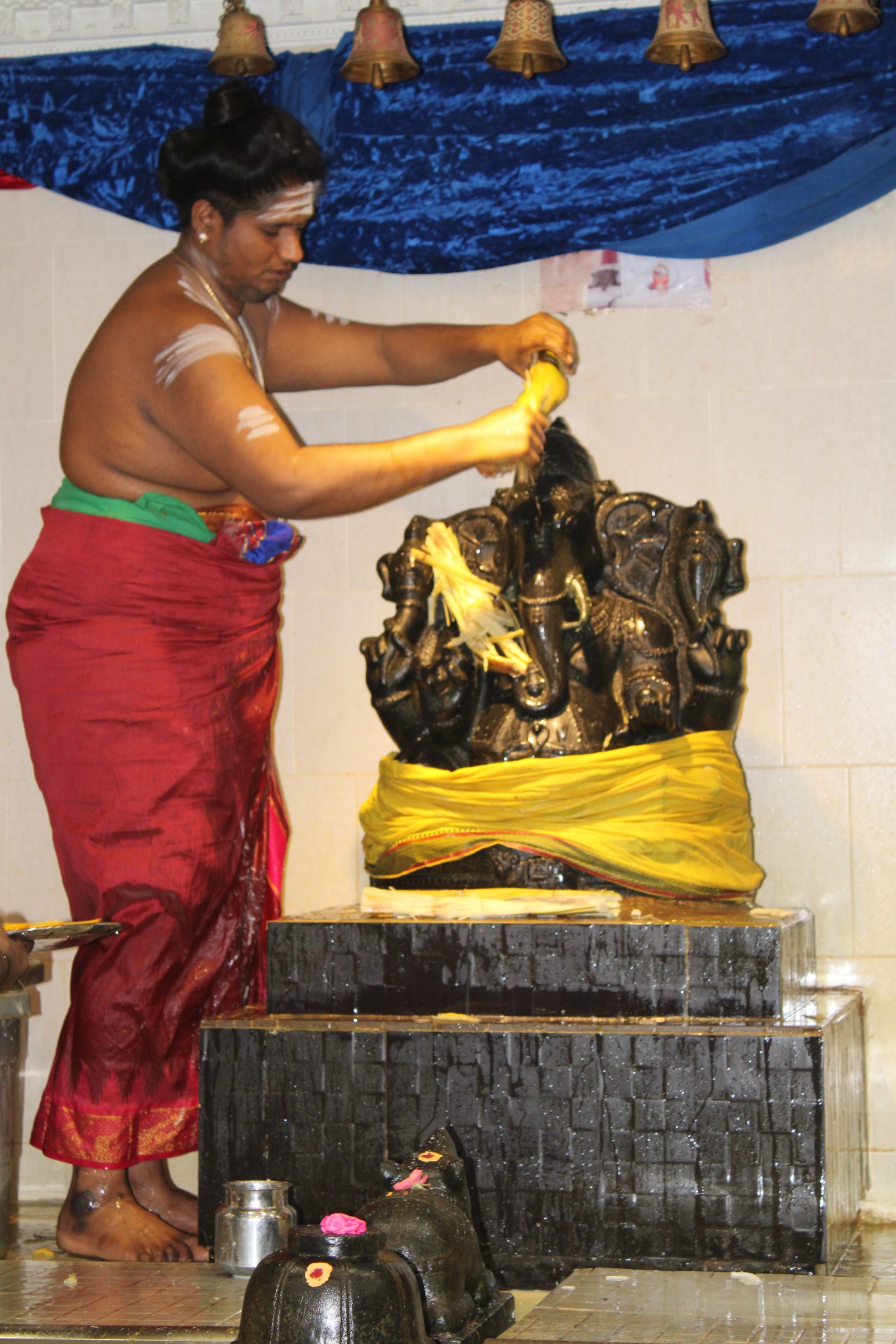 Festival 2024 photo