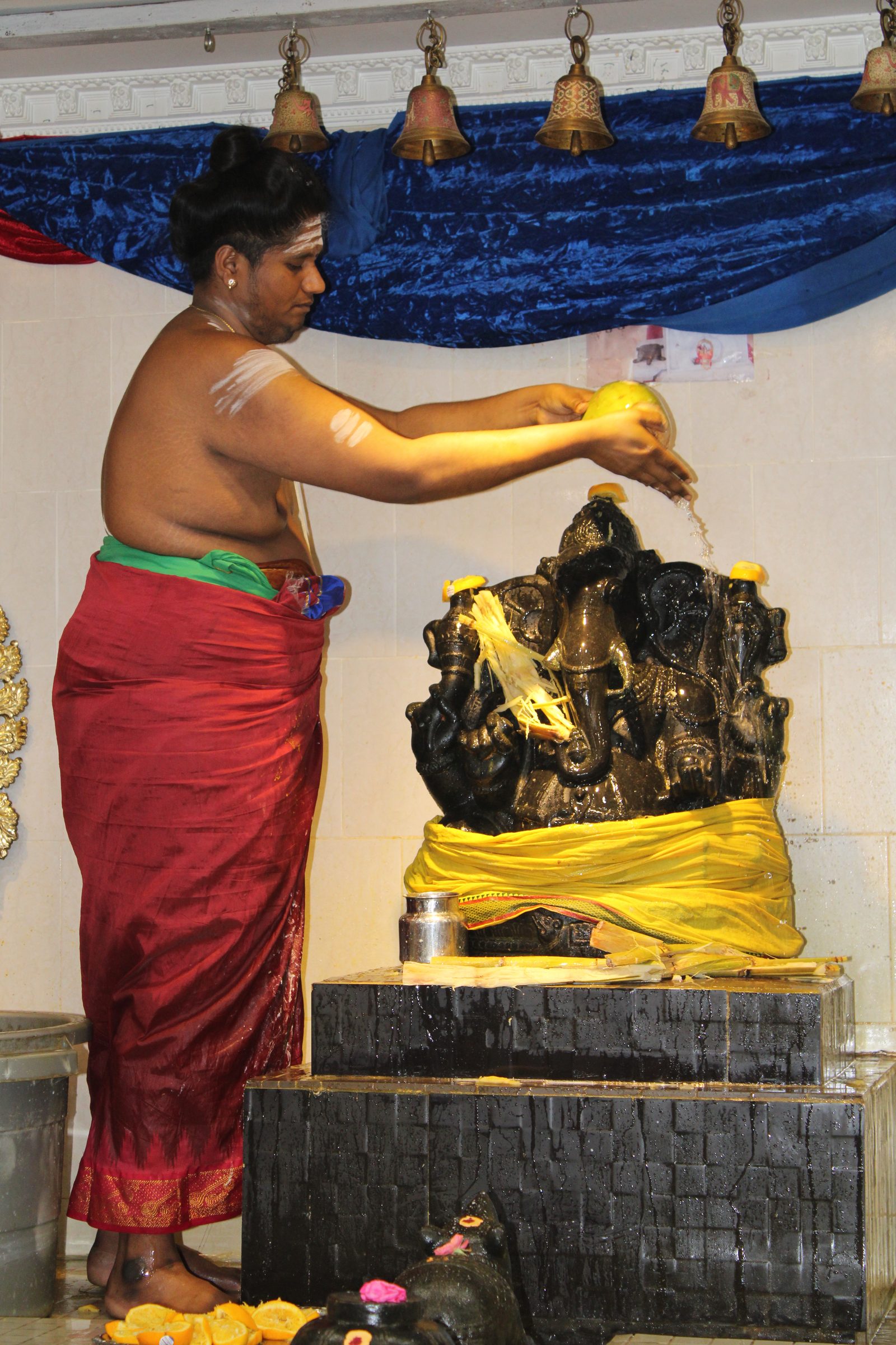 Festival 2024 photo