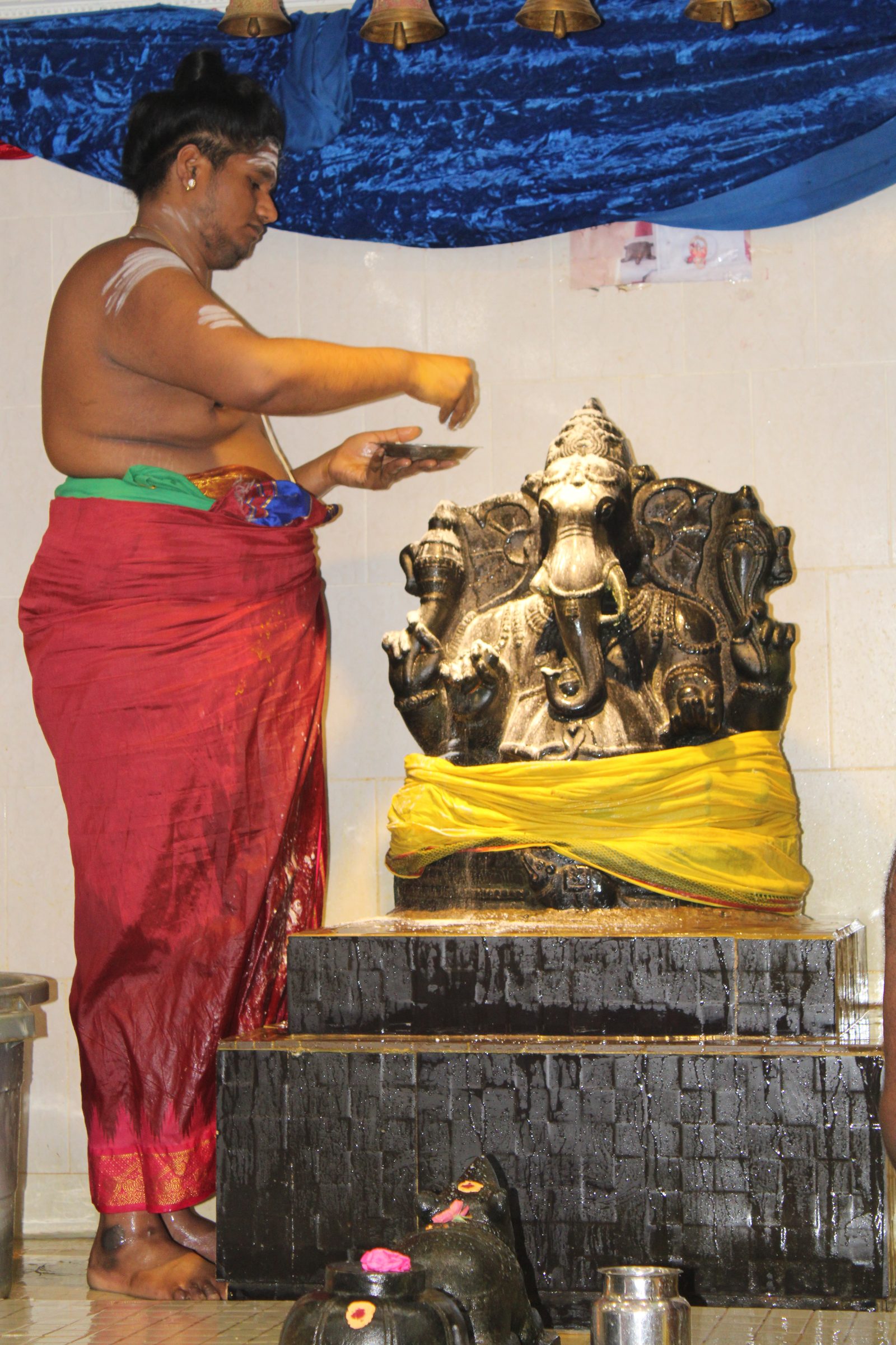 Festival 2024 photo