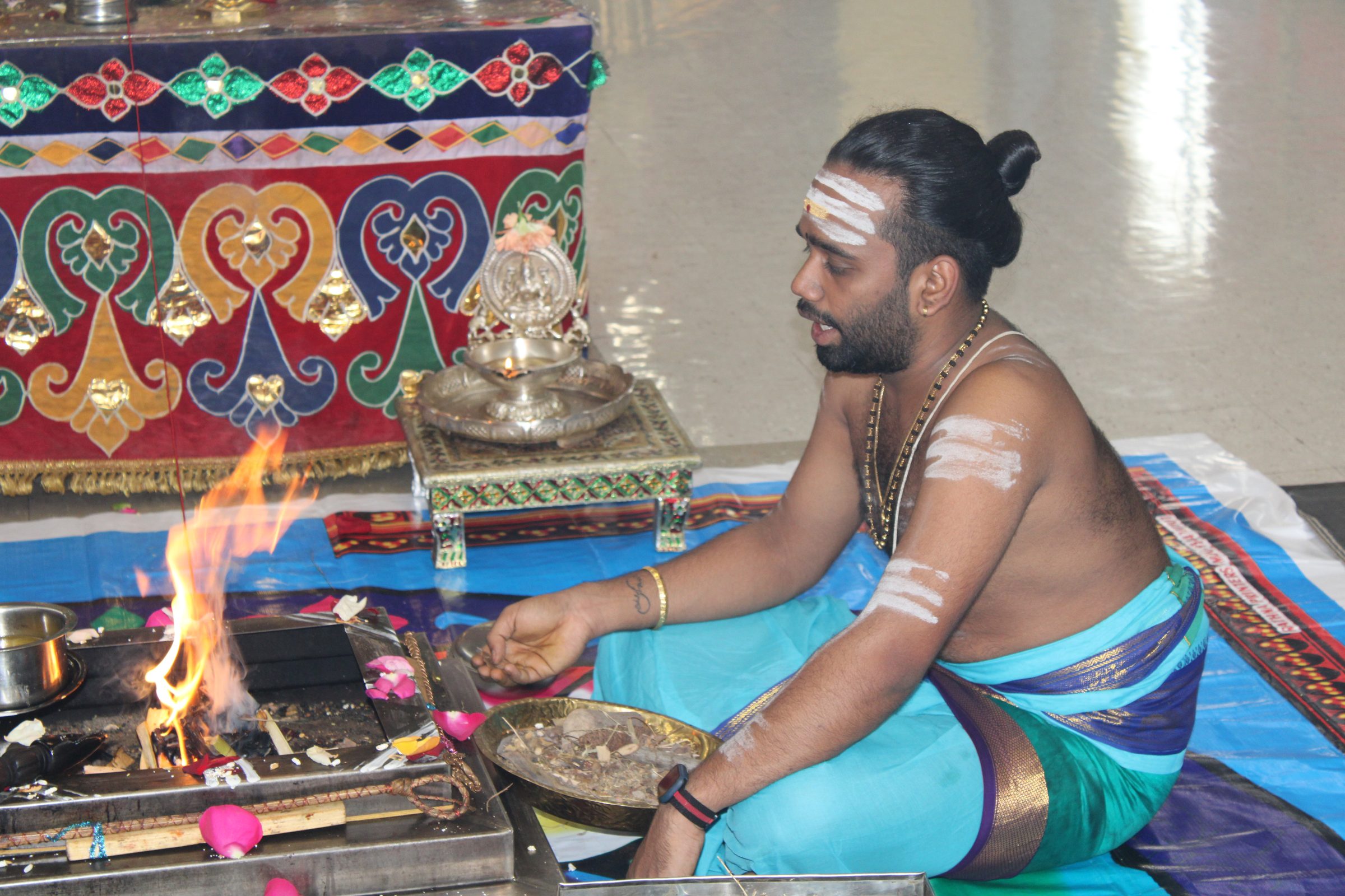 Festival 2024 photo