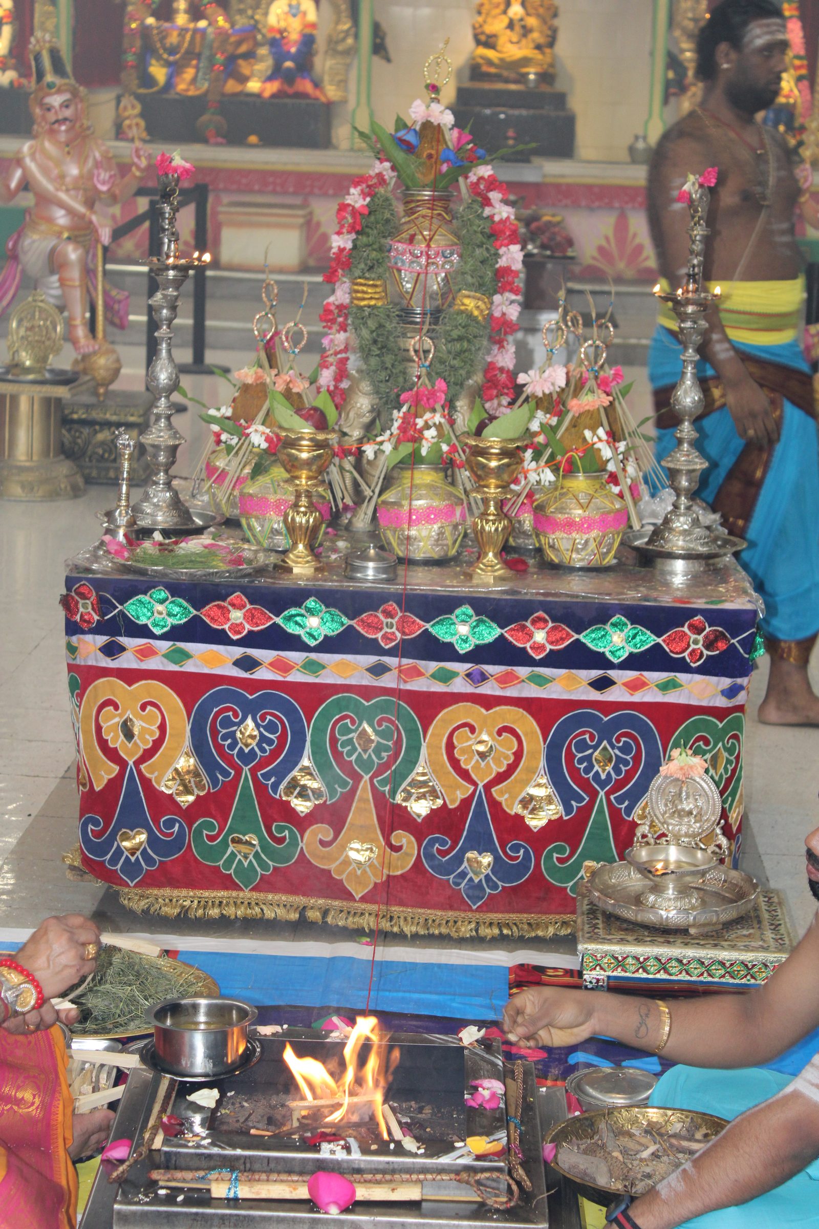 Festival 2024 photo