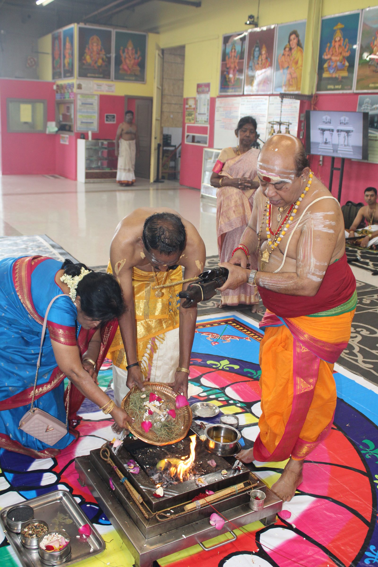 Festival 2024 photo