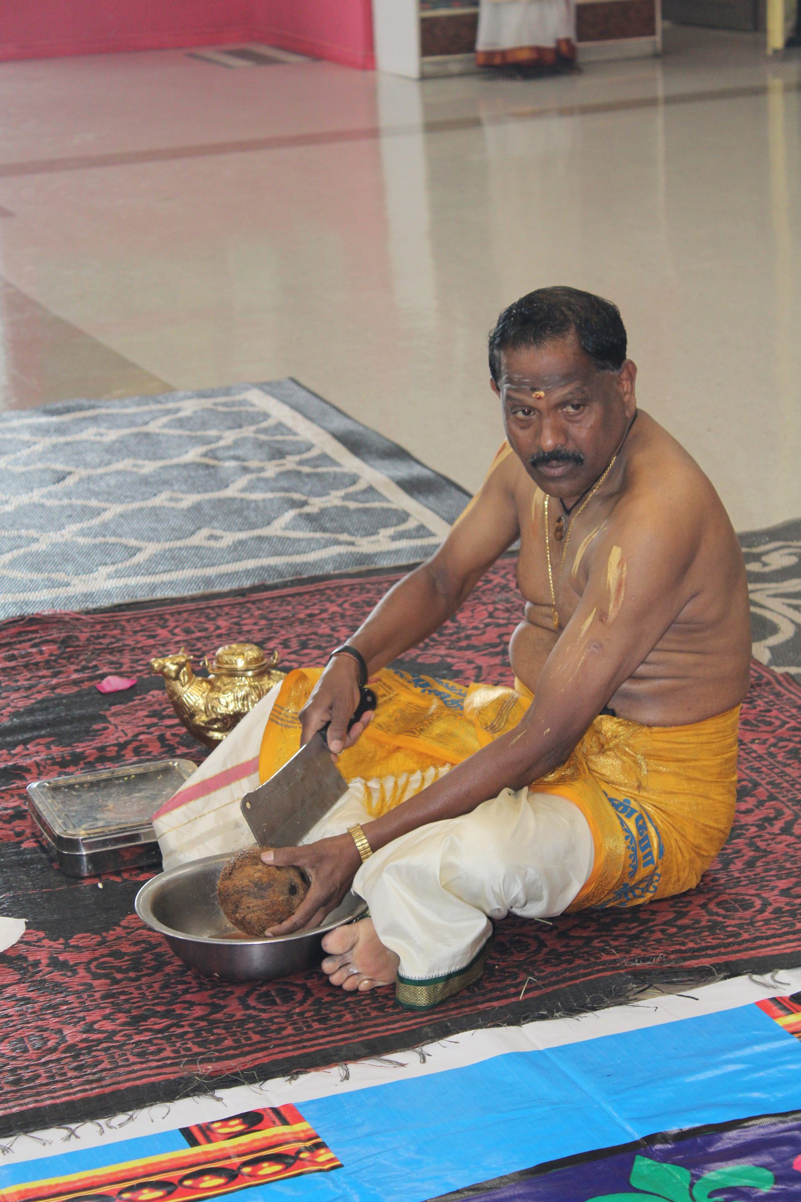 Festival 2024 photo