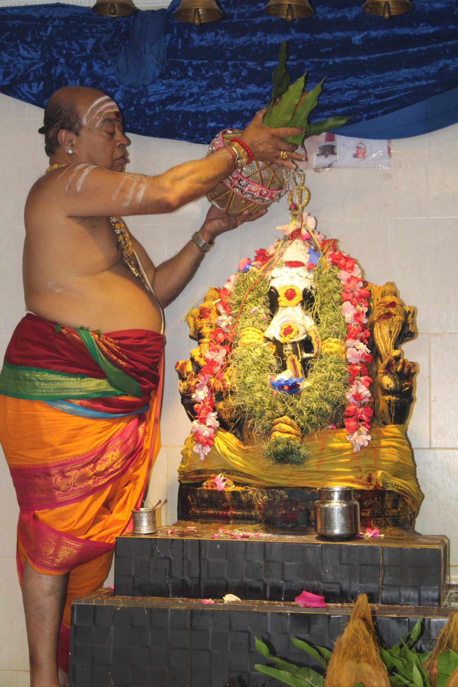 Festival 2024 photo