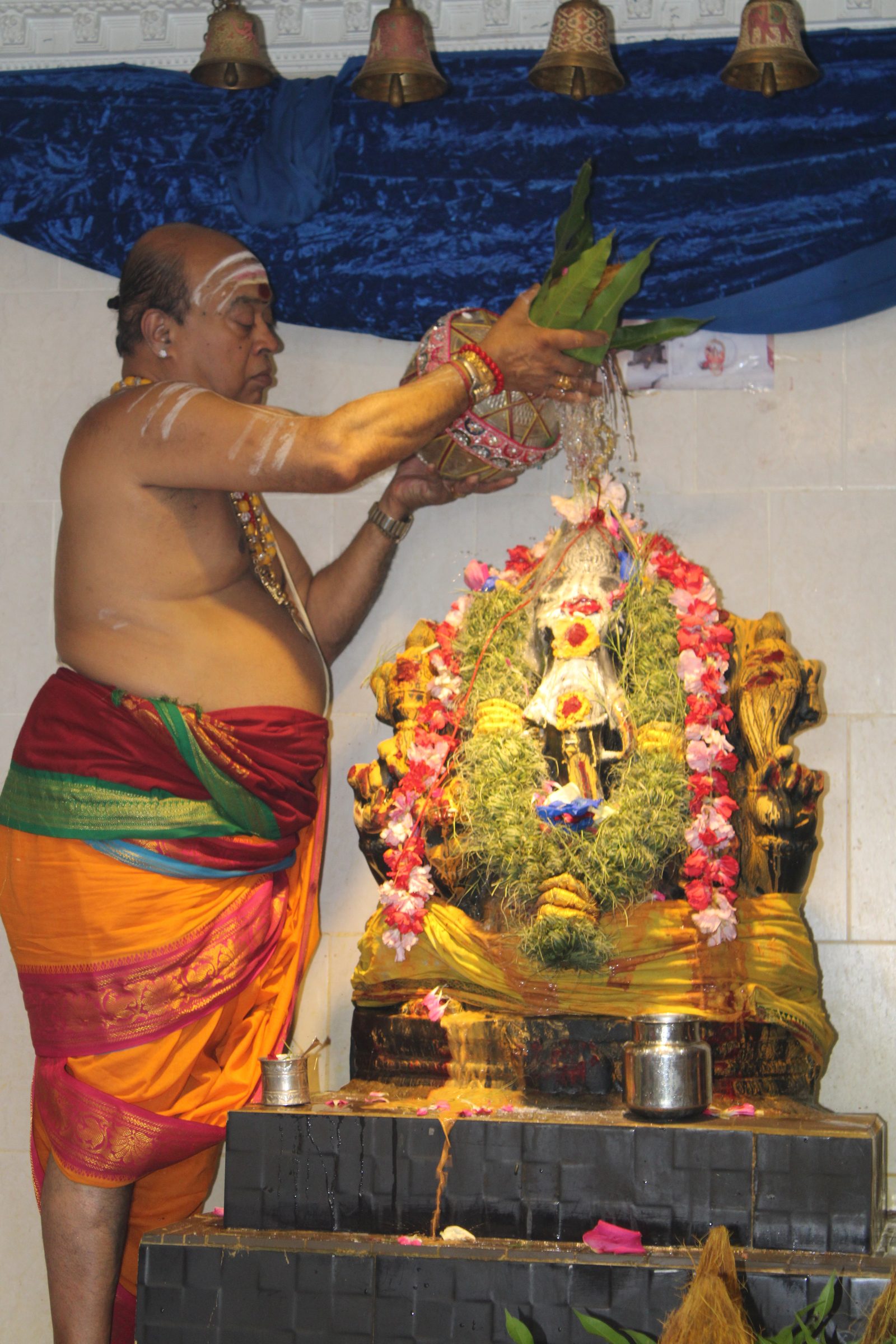 Festival 2024 photo