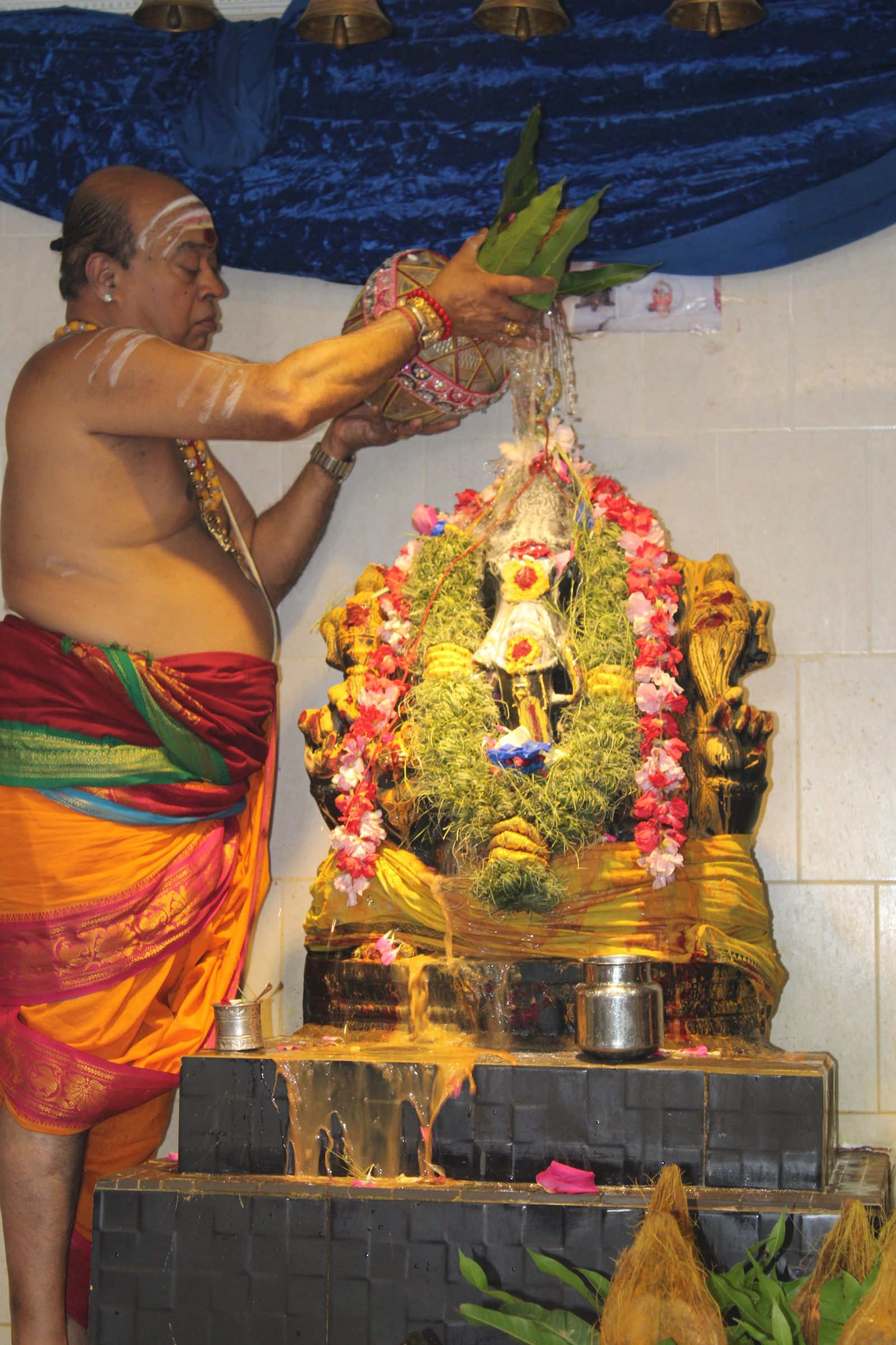 Festival 2024 photo