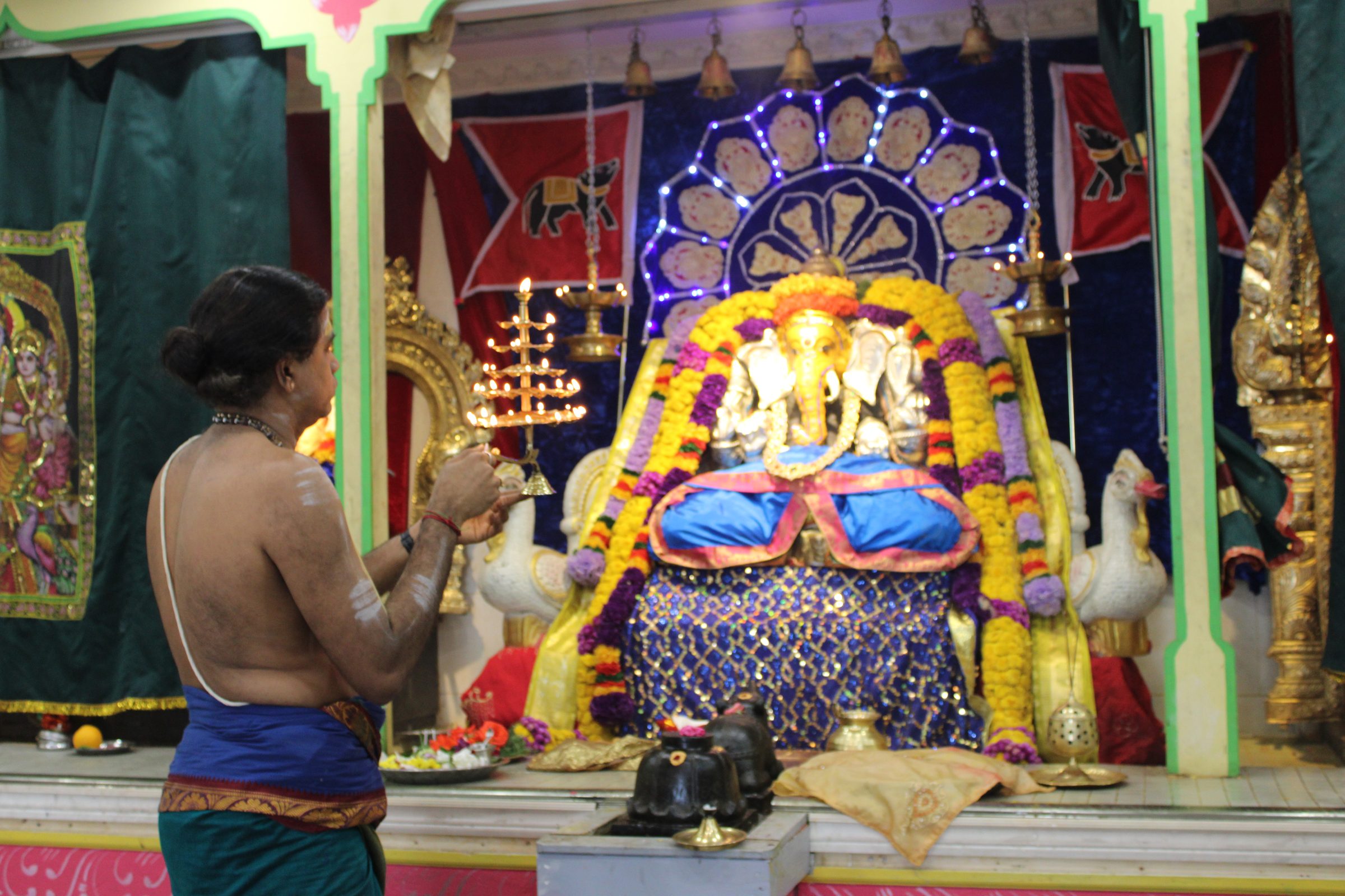 Festival 2024 photo