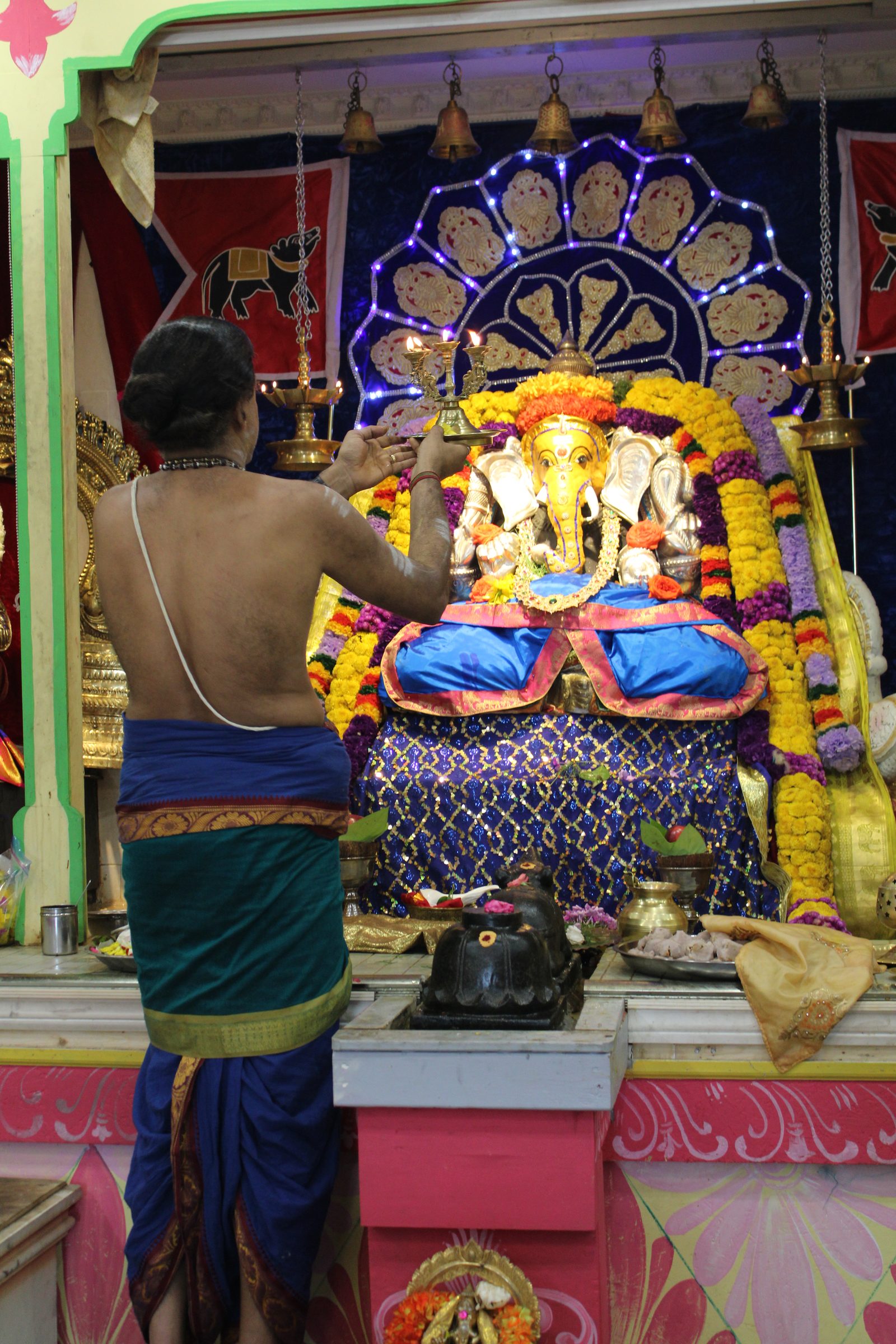 Festival 2024 photo