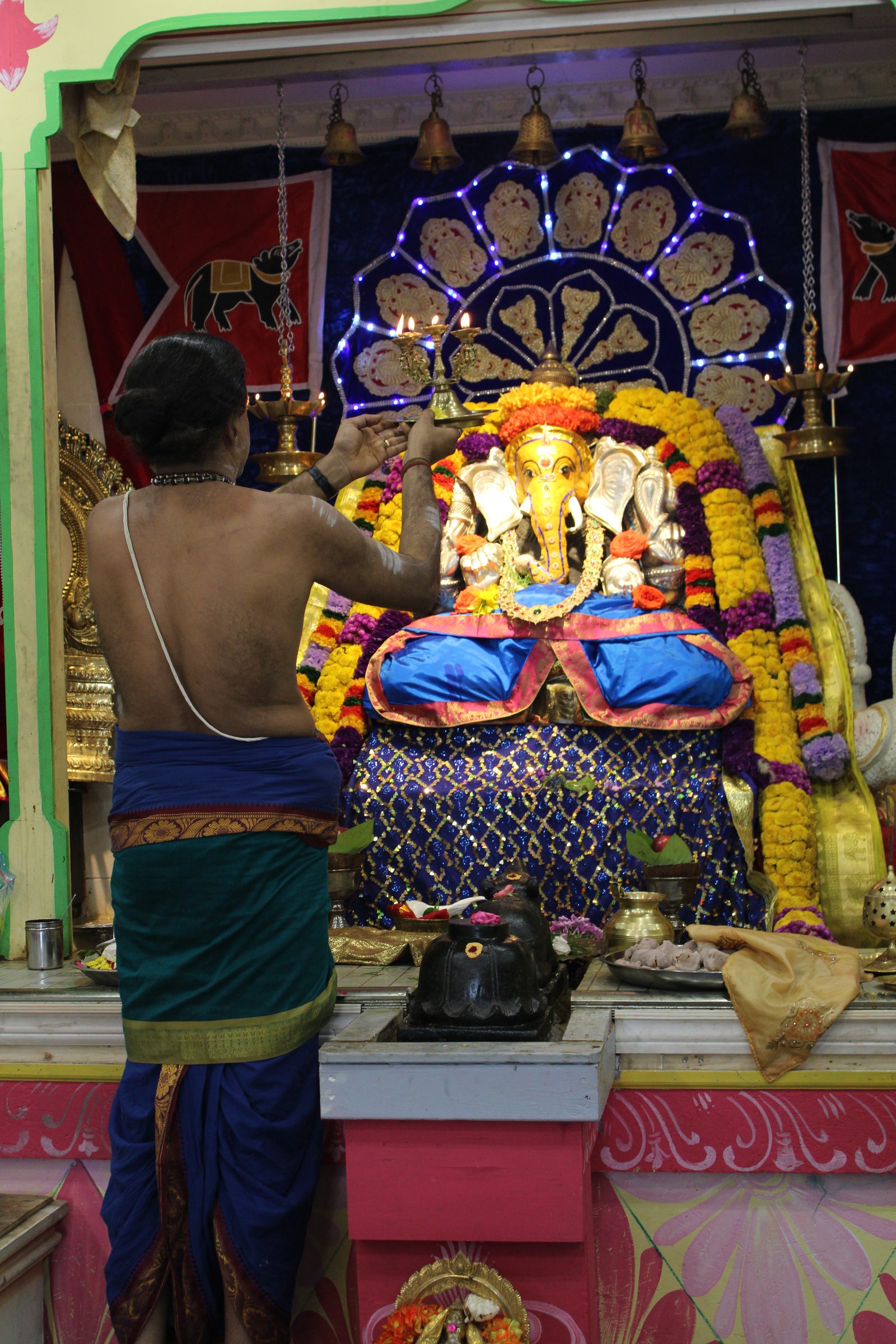 Festival 2024 photo