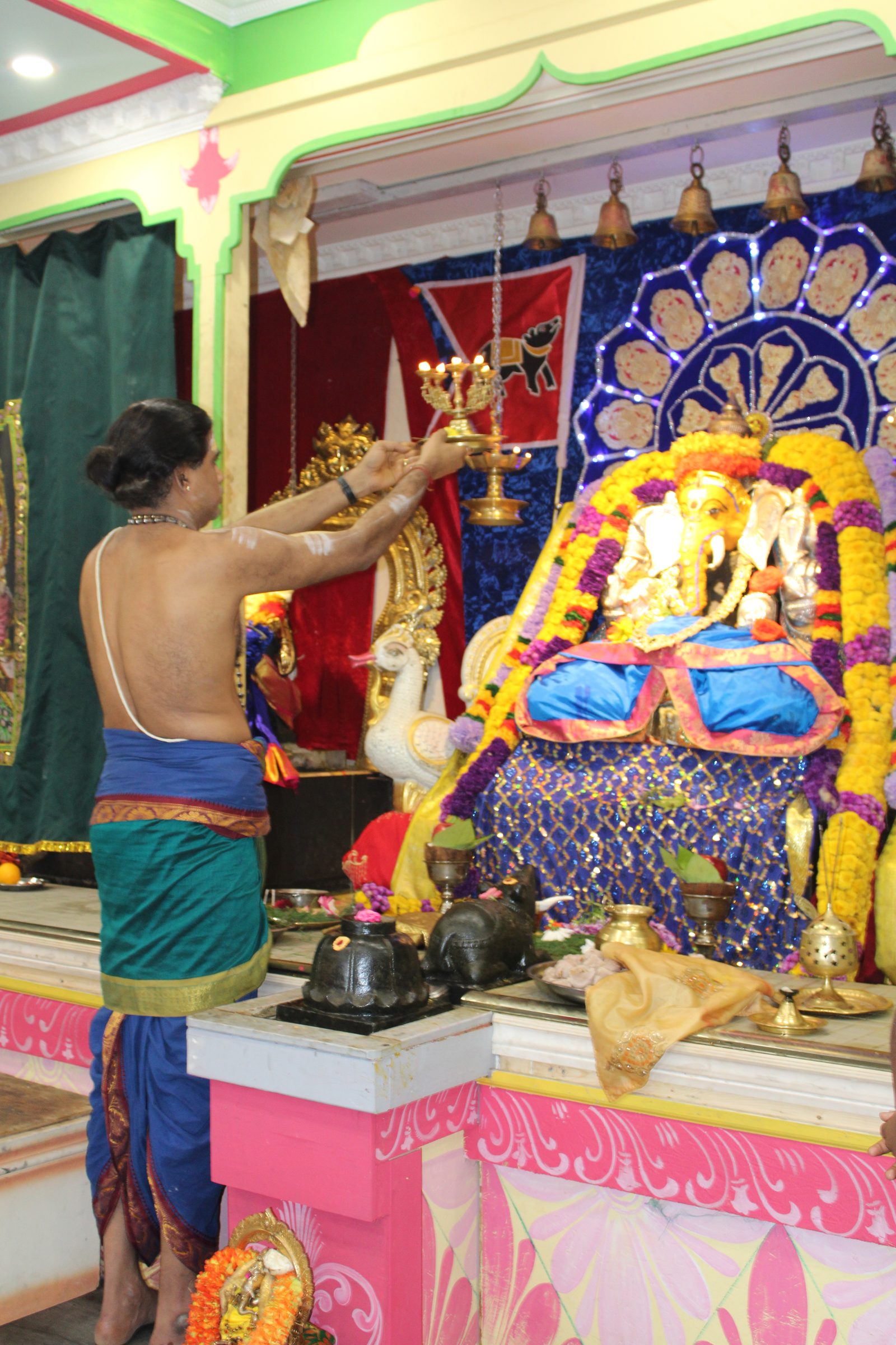 Festival 2024 photo
