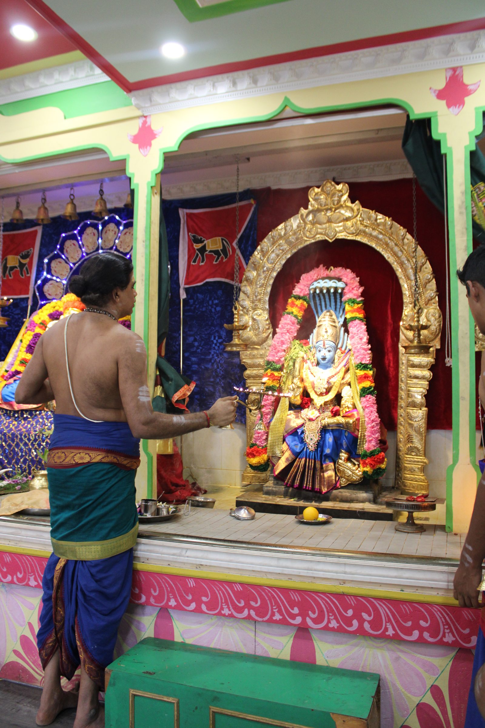 Festival 2024 photo