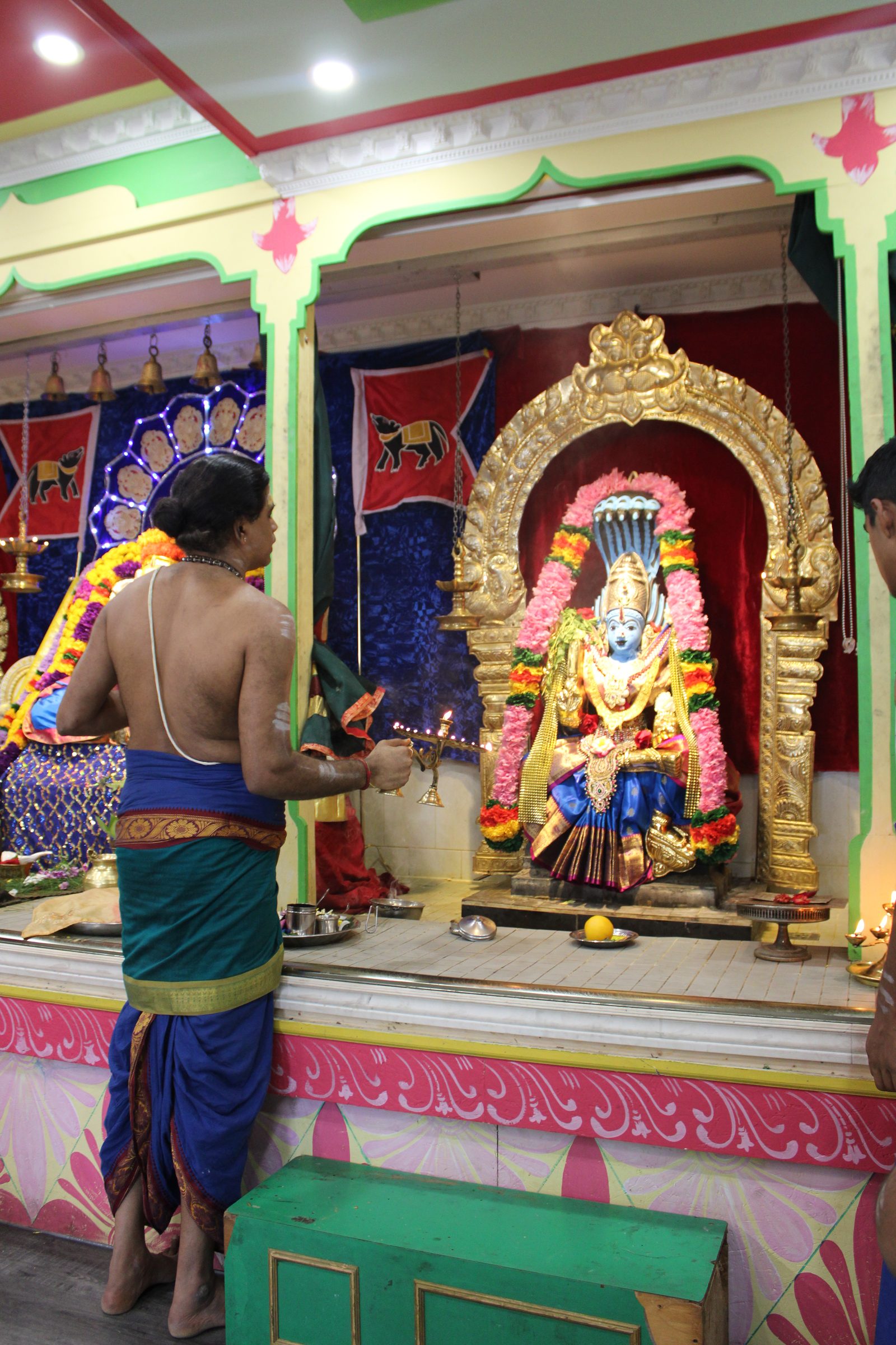 Festival 2024 photo