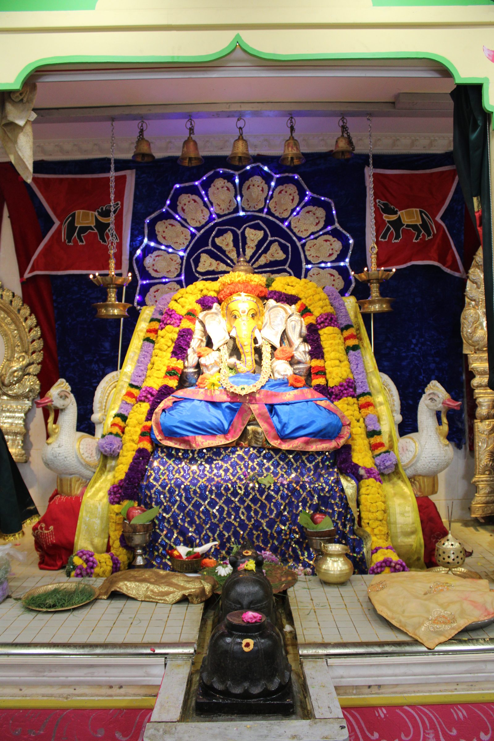 Festival 2024 photo
