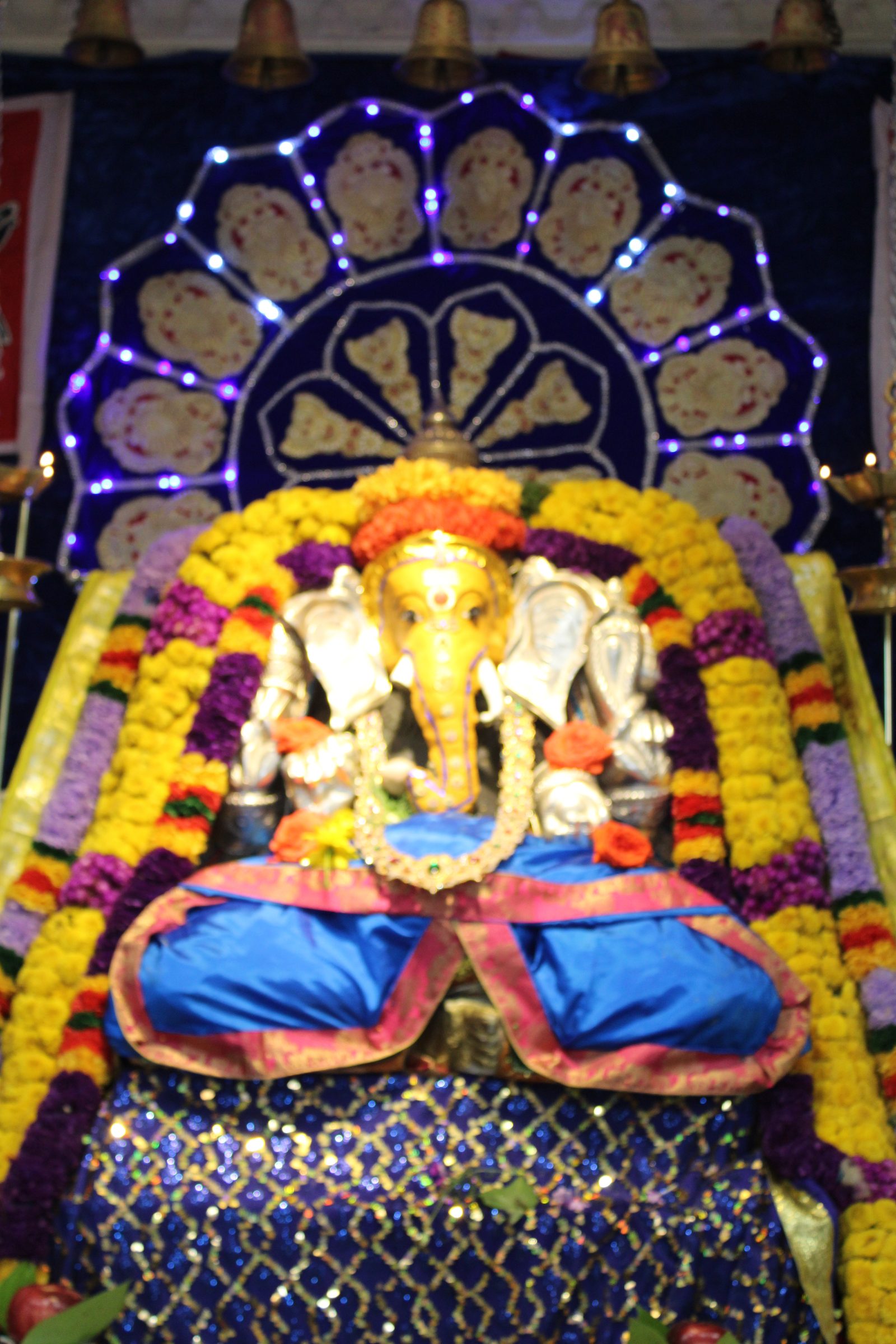 Festival 2024 photo