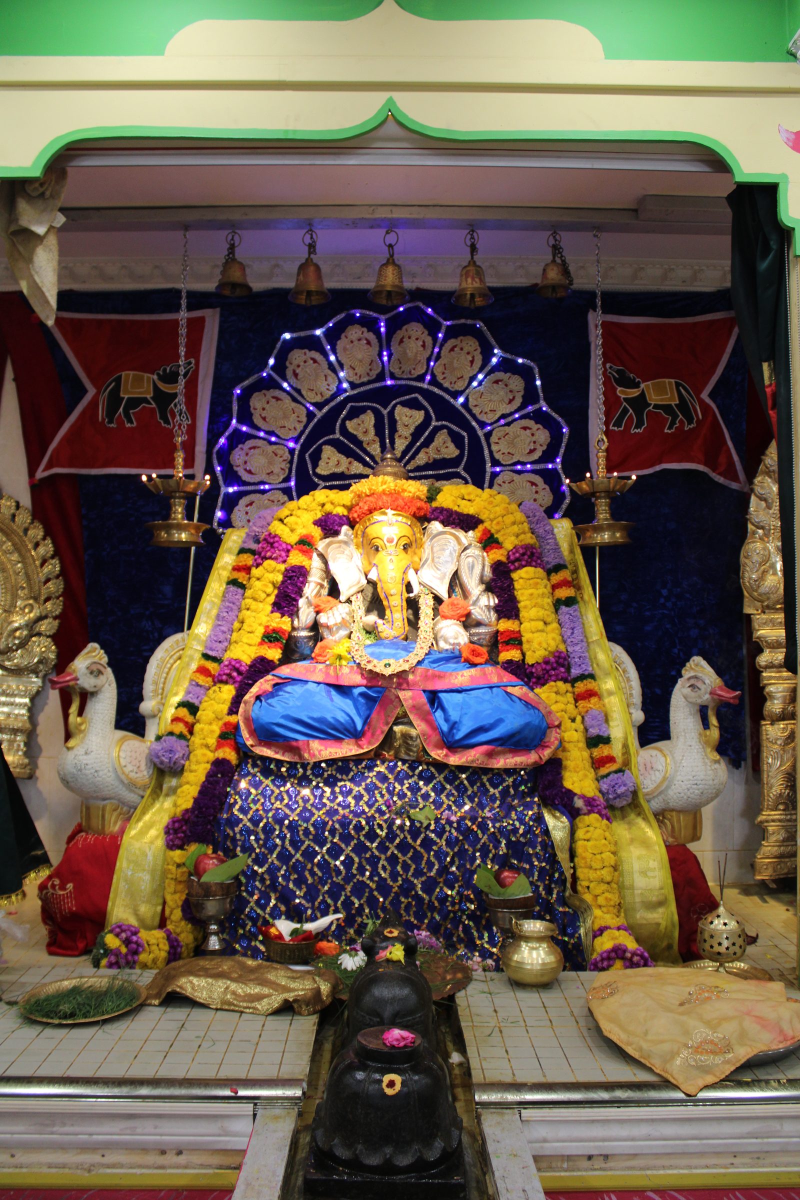 Festival 2024 photo