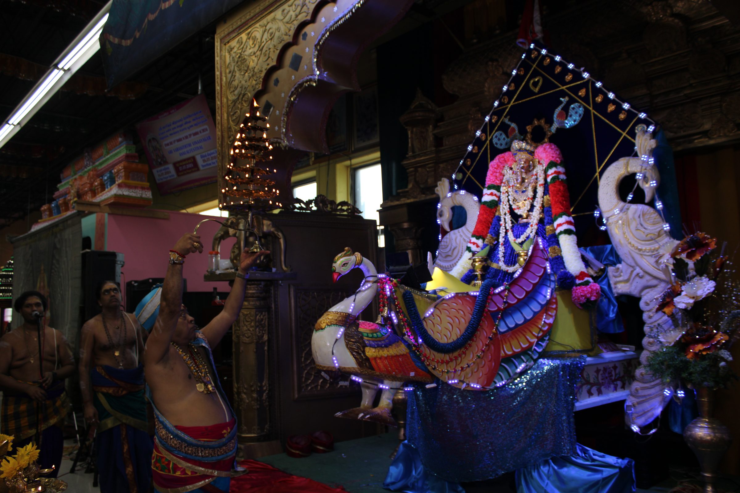 Festival 2024 photo