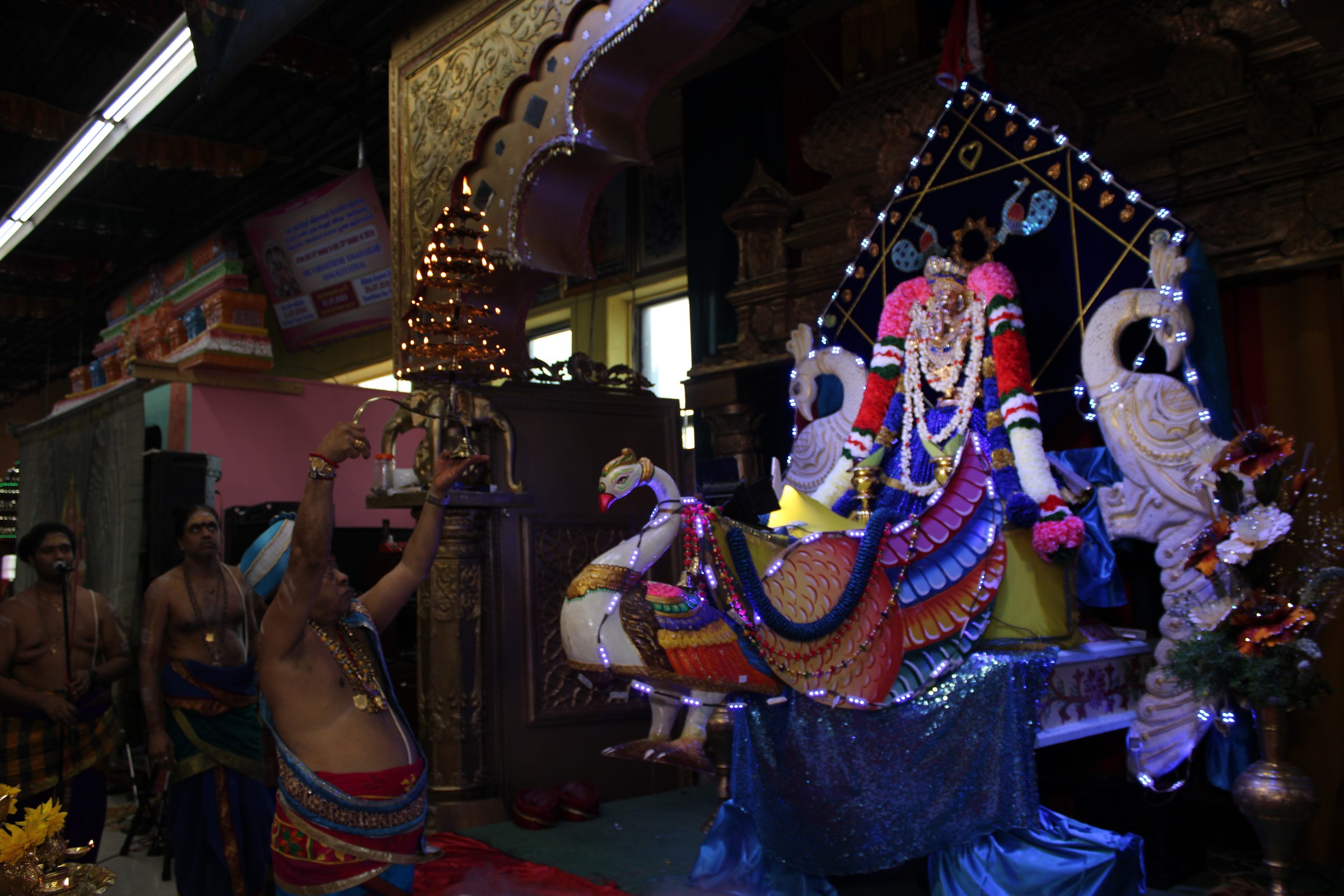 Festival 2024 photo