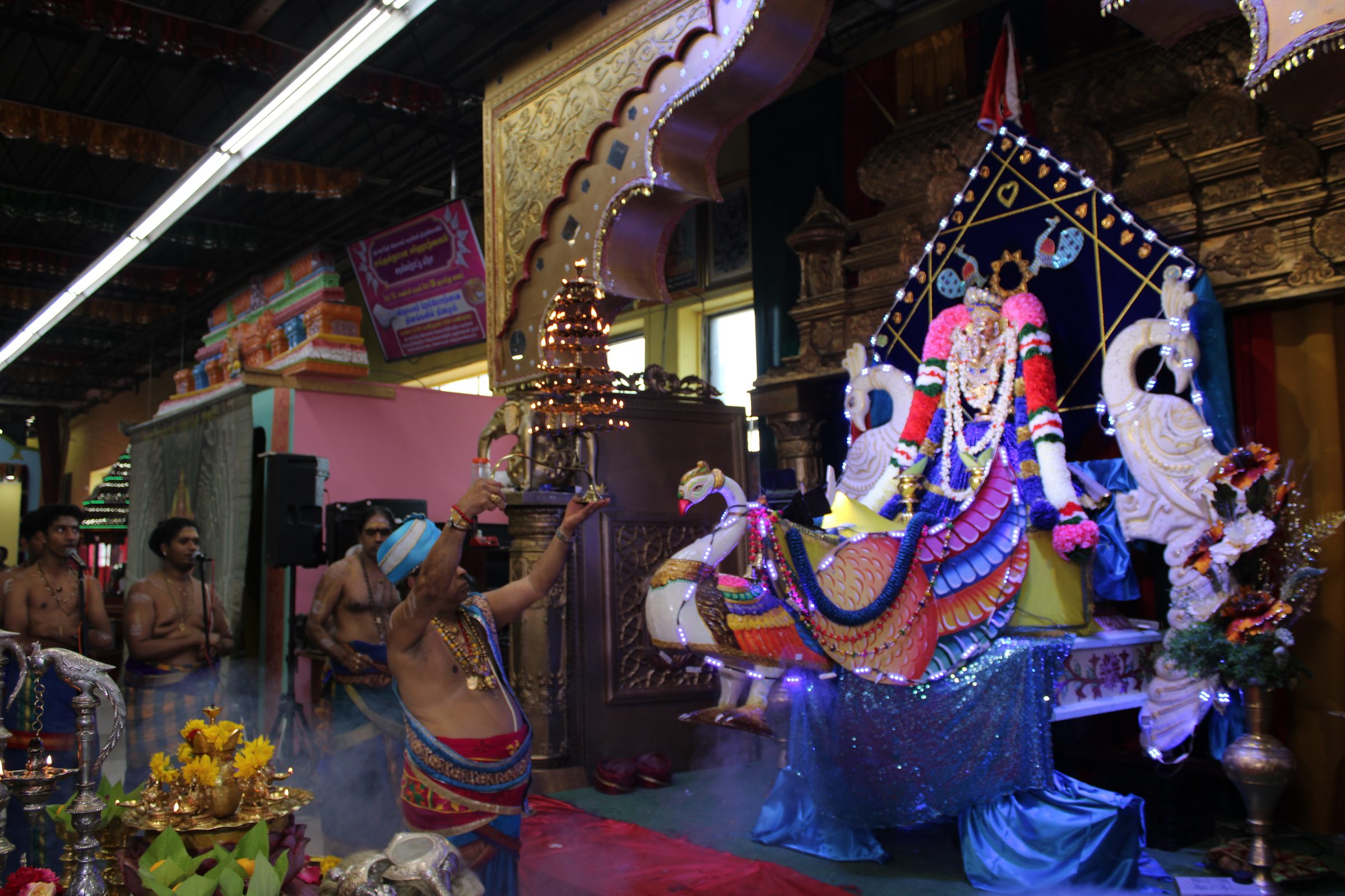 Festival 2024 photo
