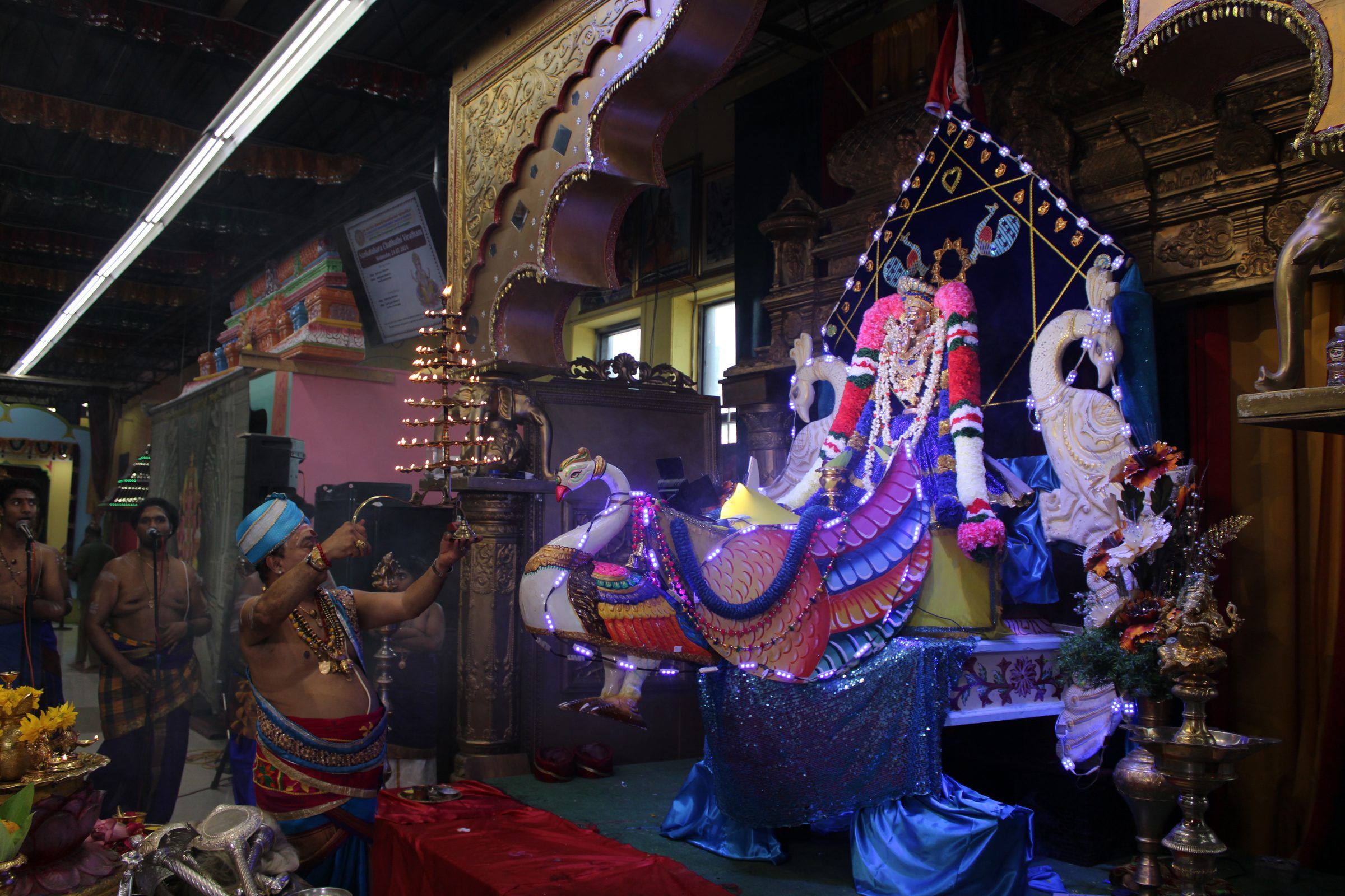 Festival 2024 photo
