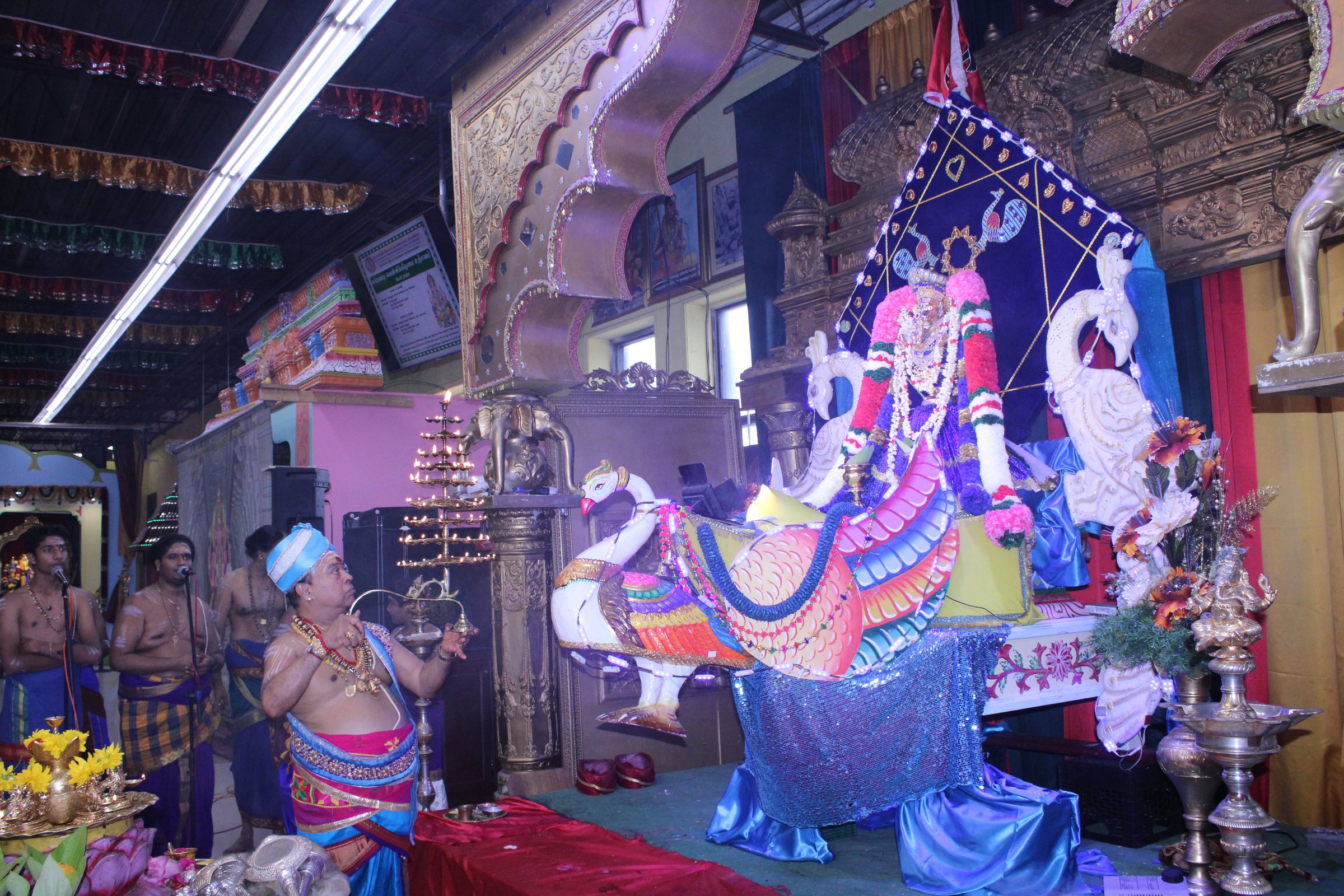 Festival 2024 photo
