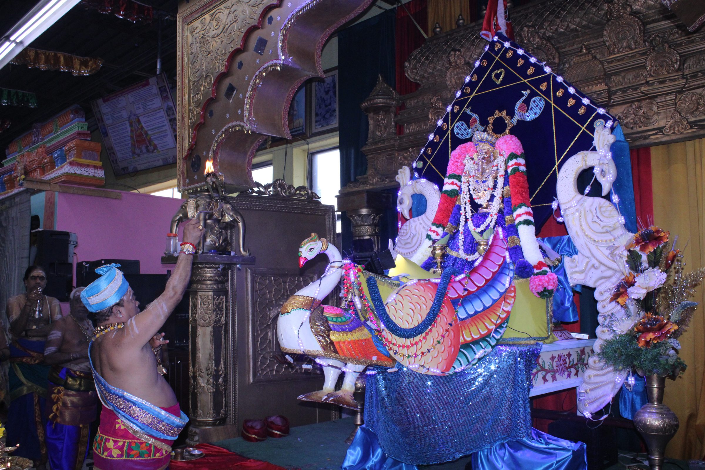 Festival 2024 photo