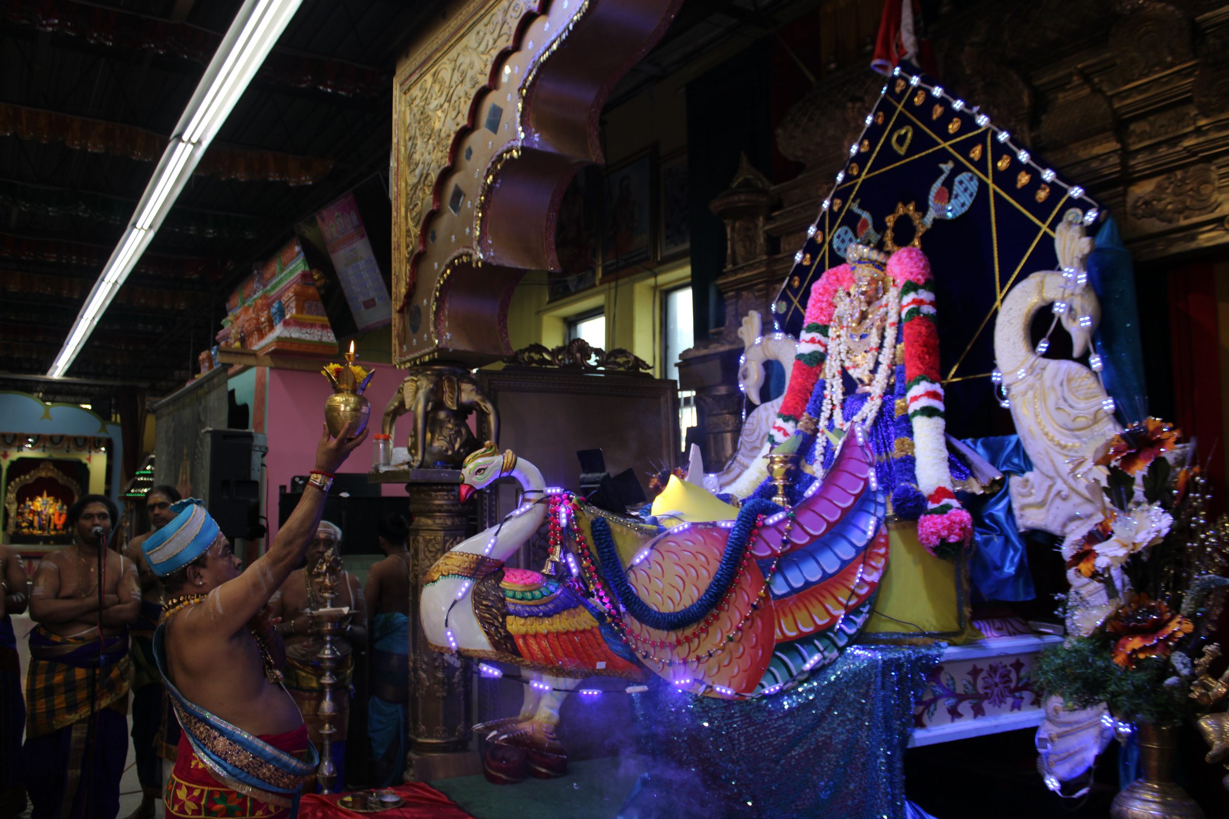 Festival 2024 photo