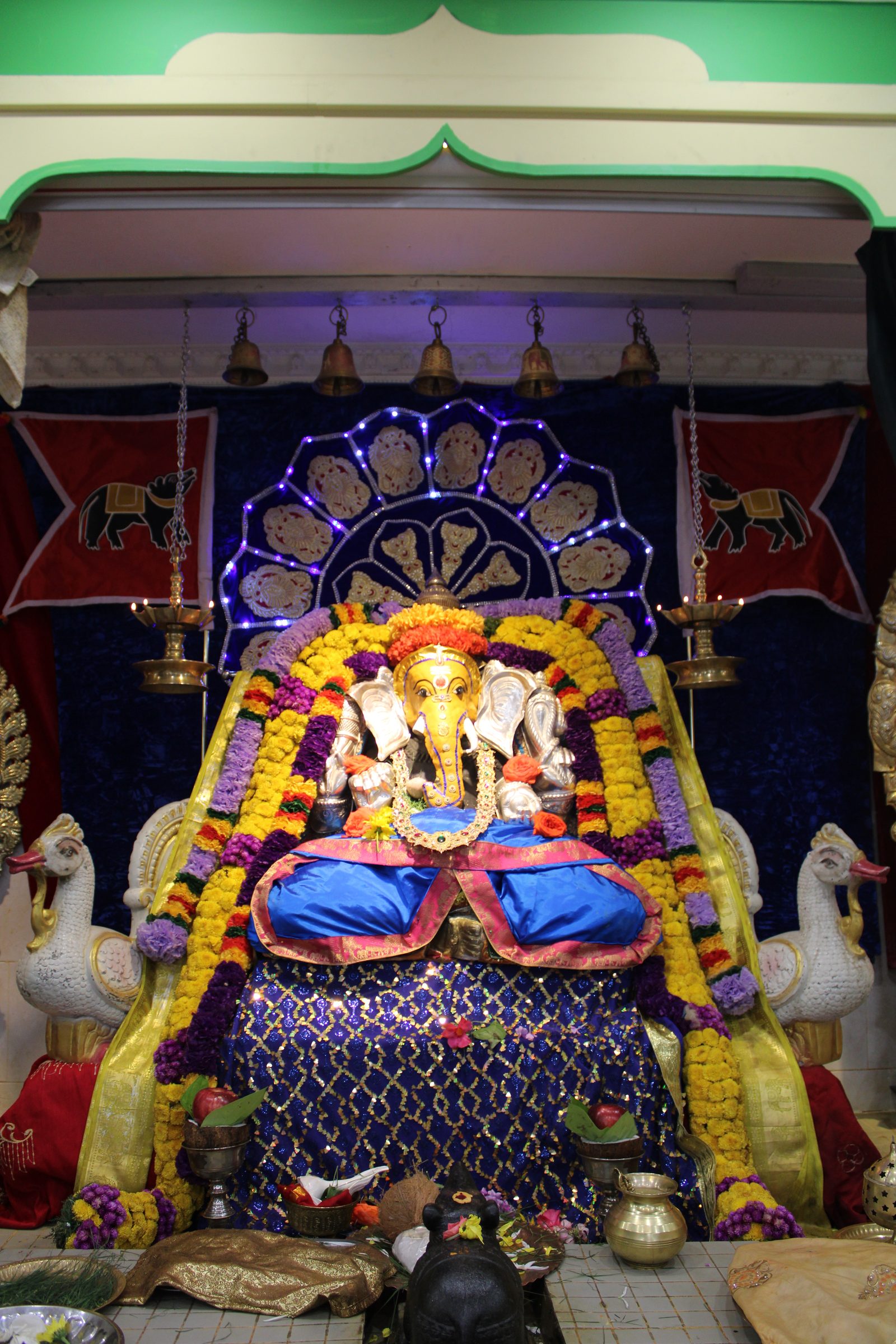Festival 2024 photo