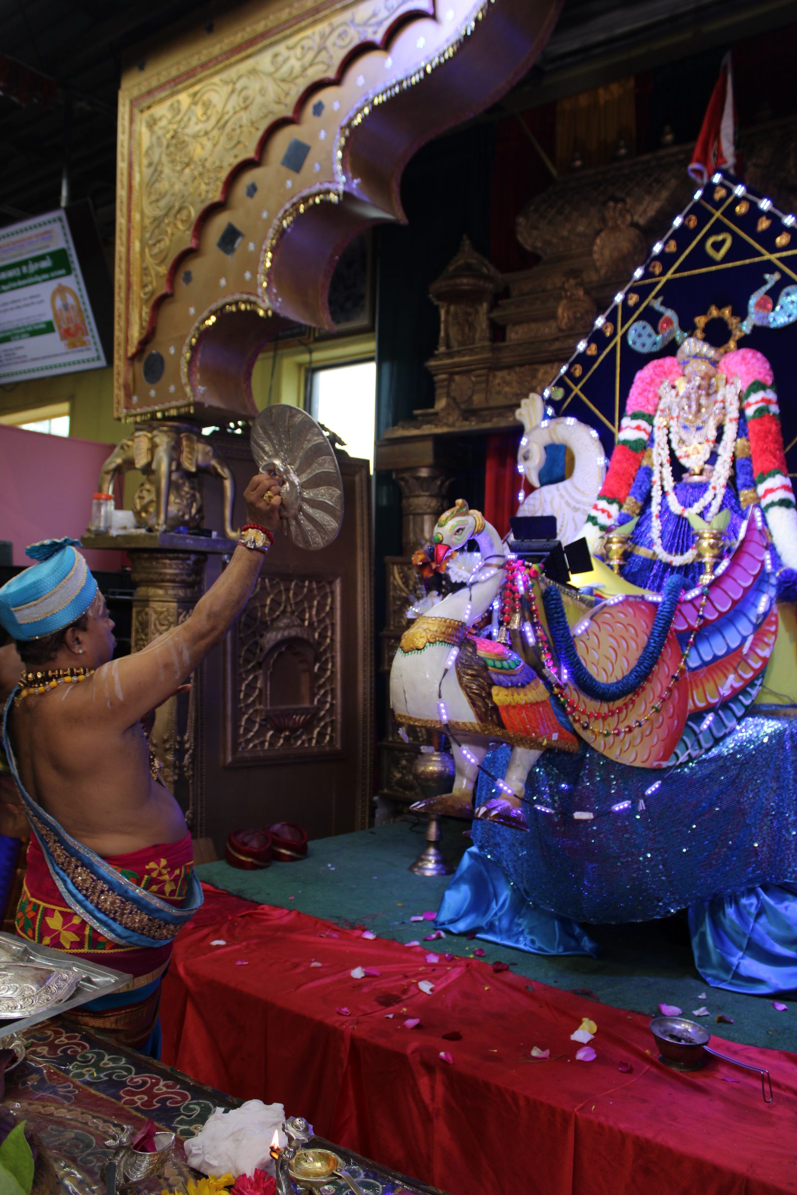 Festival 2024 photo