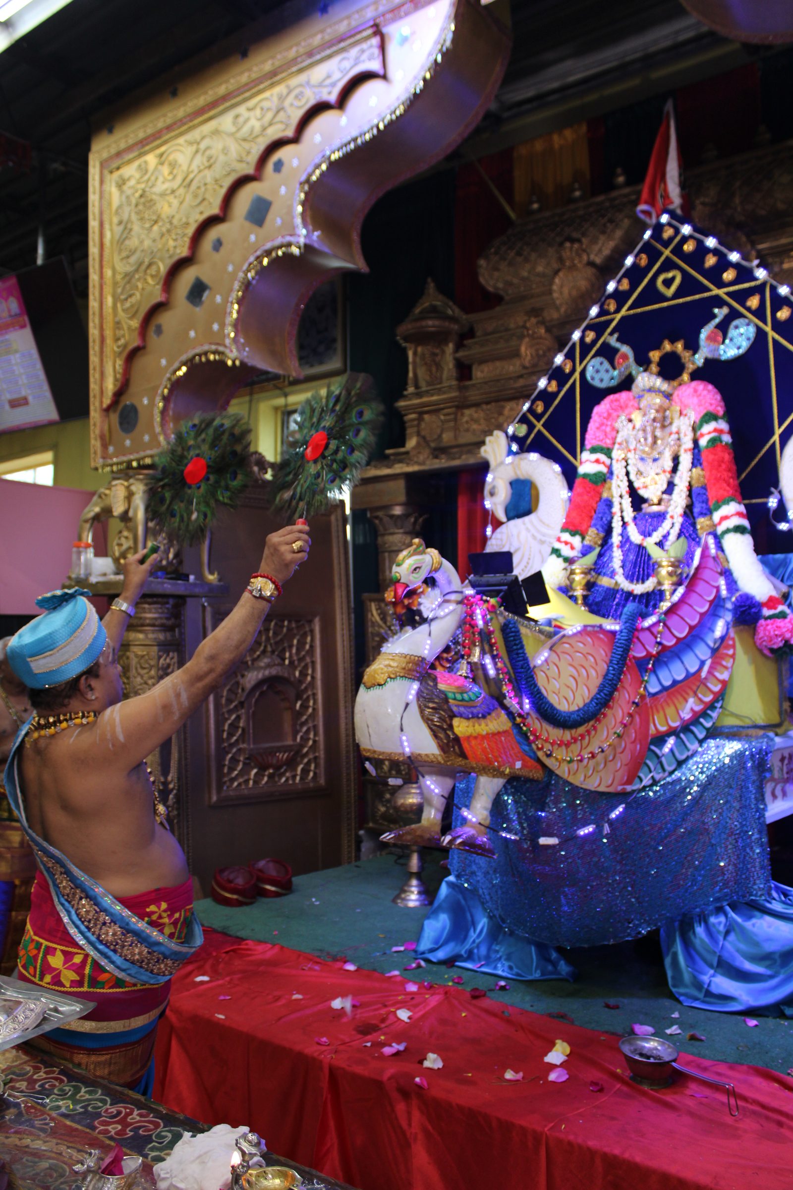 Festival 2024 photo