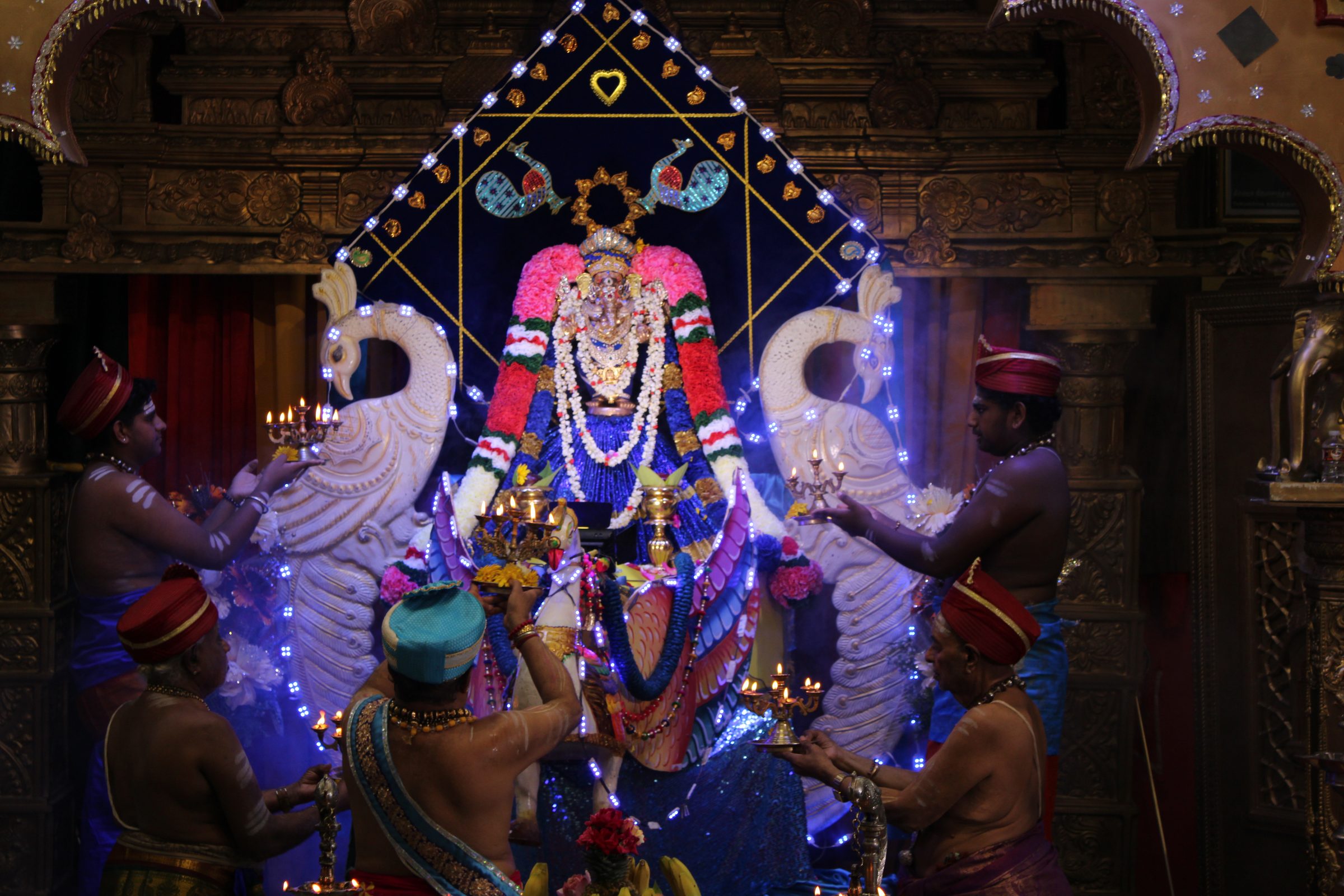 Festival 2024 photo