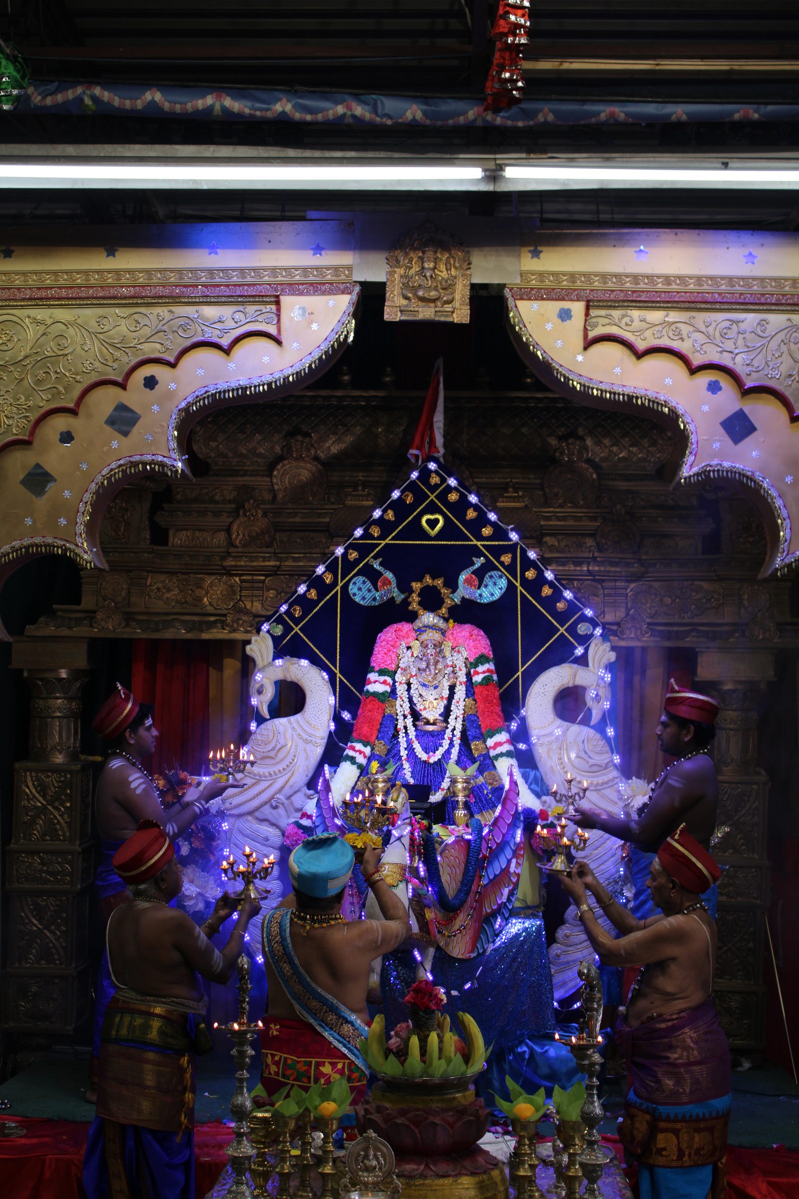 Festival 2024 photo