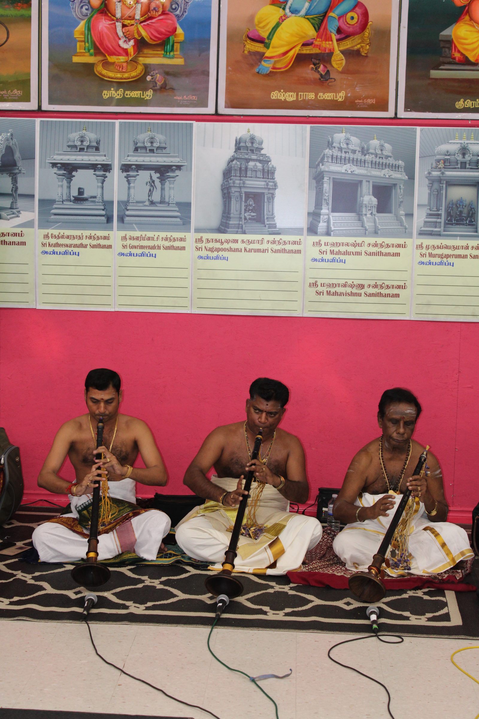 Festival 2024 photo