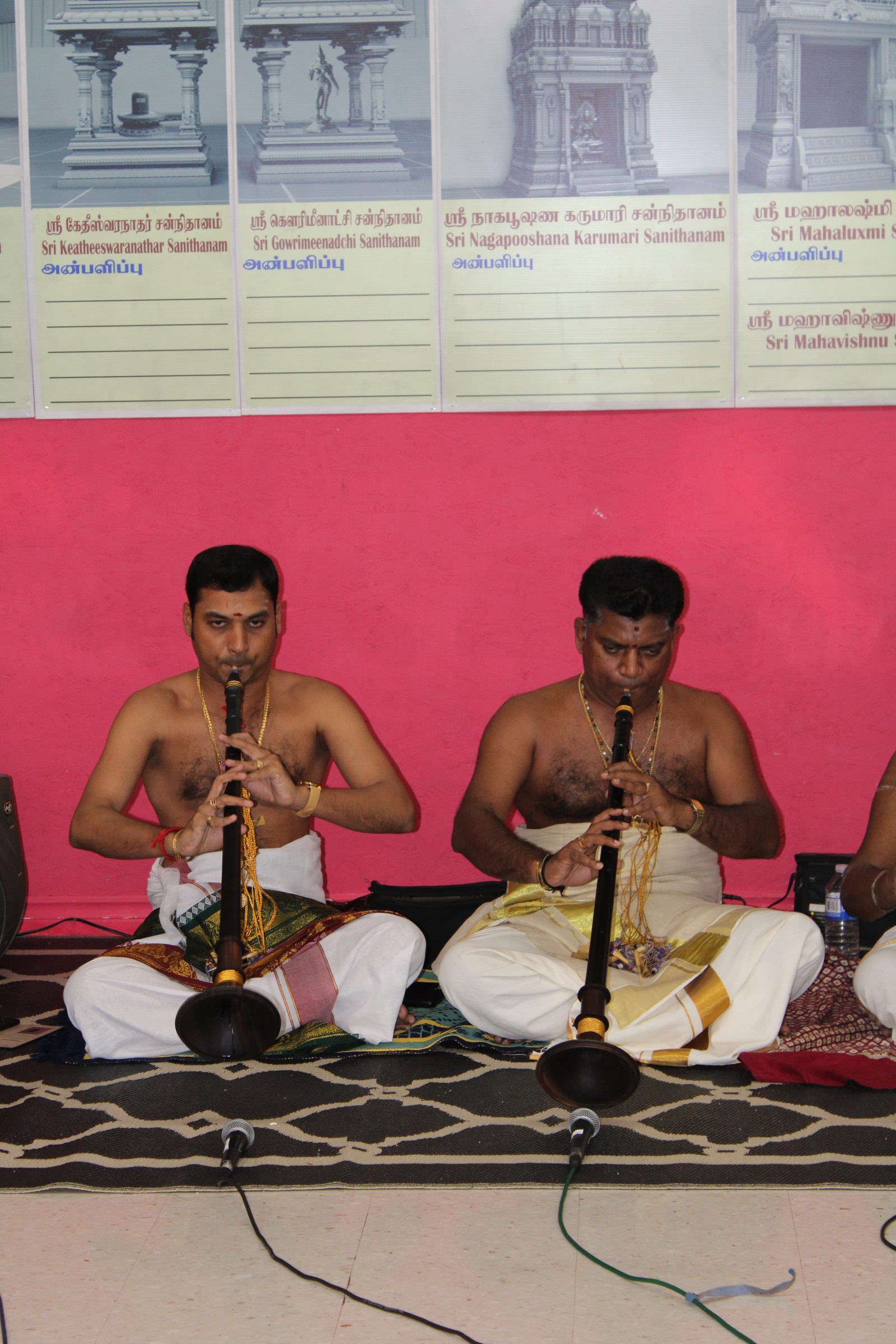 Festival 2024 photo