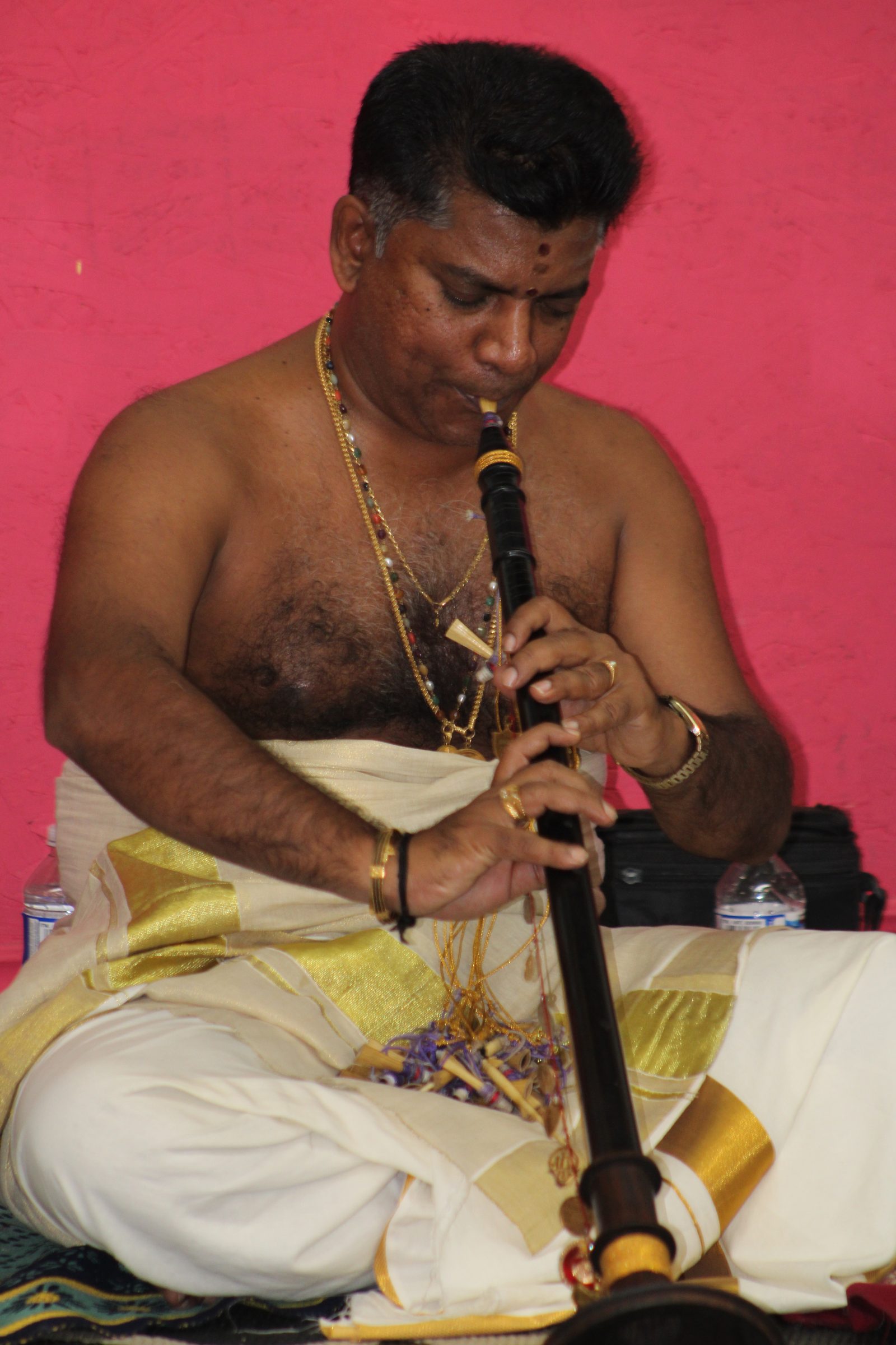 Festival 2024 photo