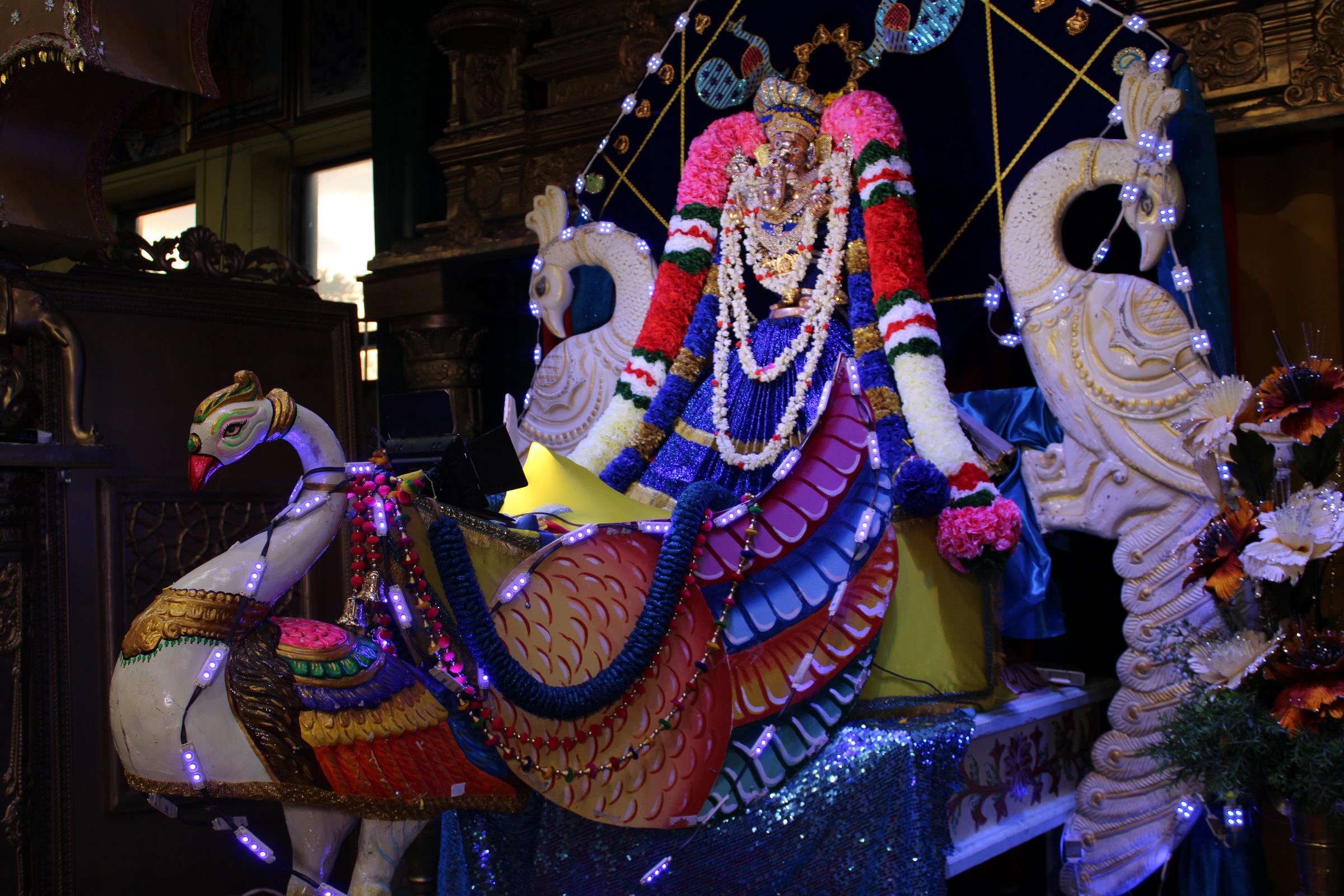 Festival 2024 photo