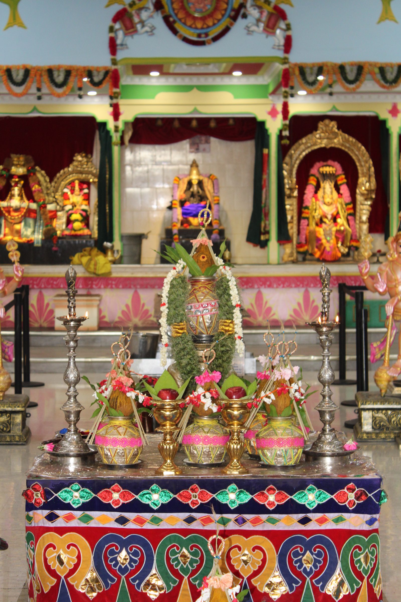 Festival 2024 photo