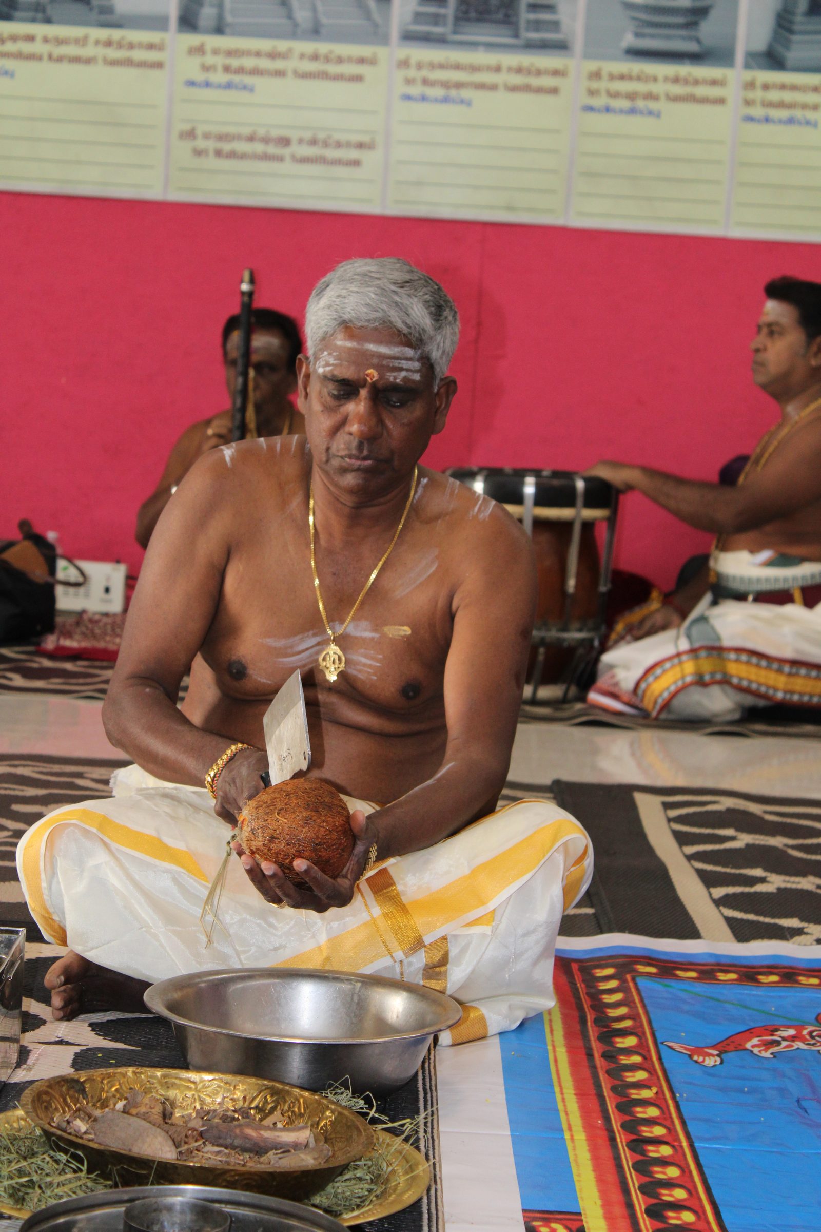 Festival 2024 photo